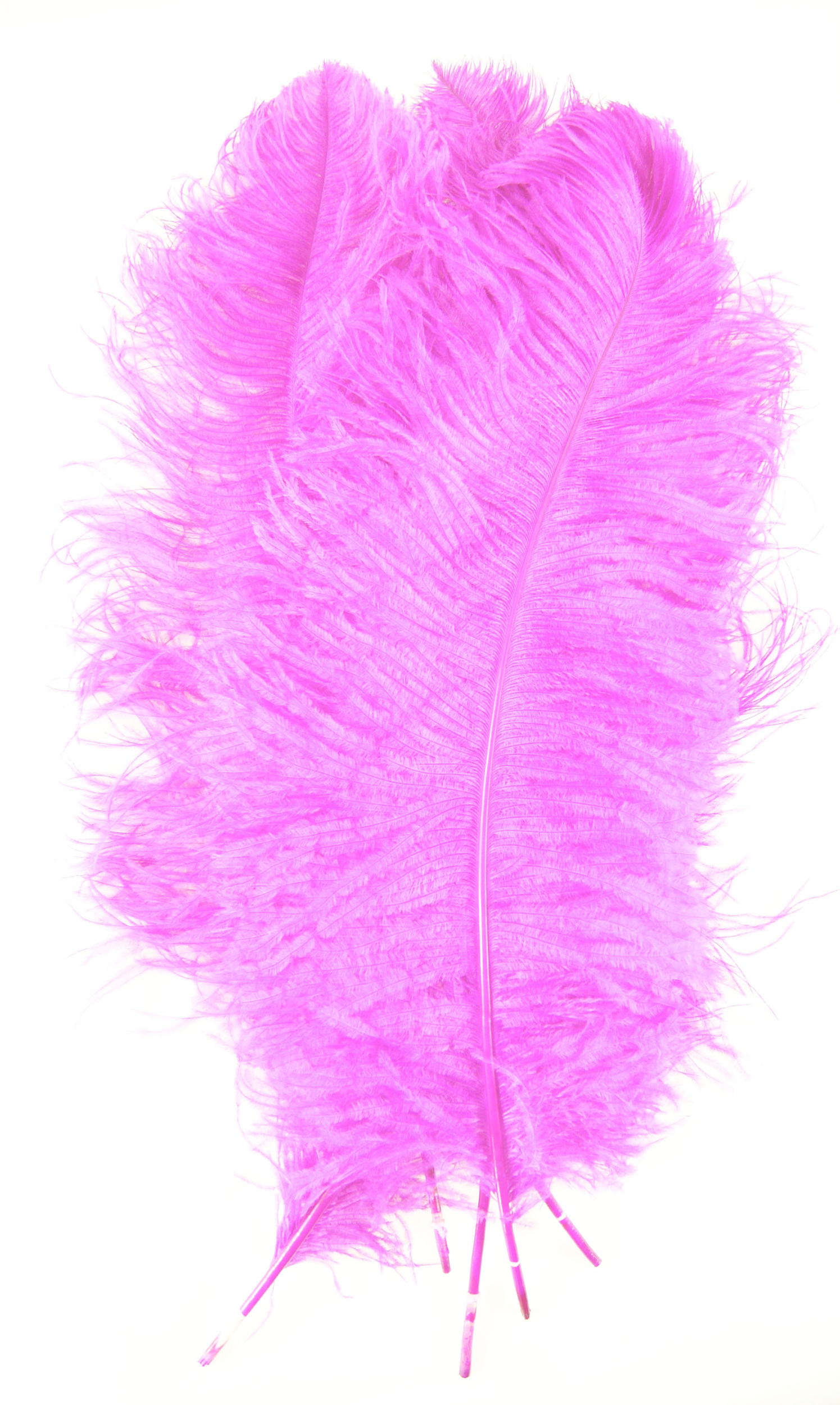 plume autruche grande souple rose fluo