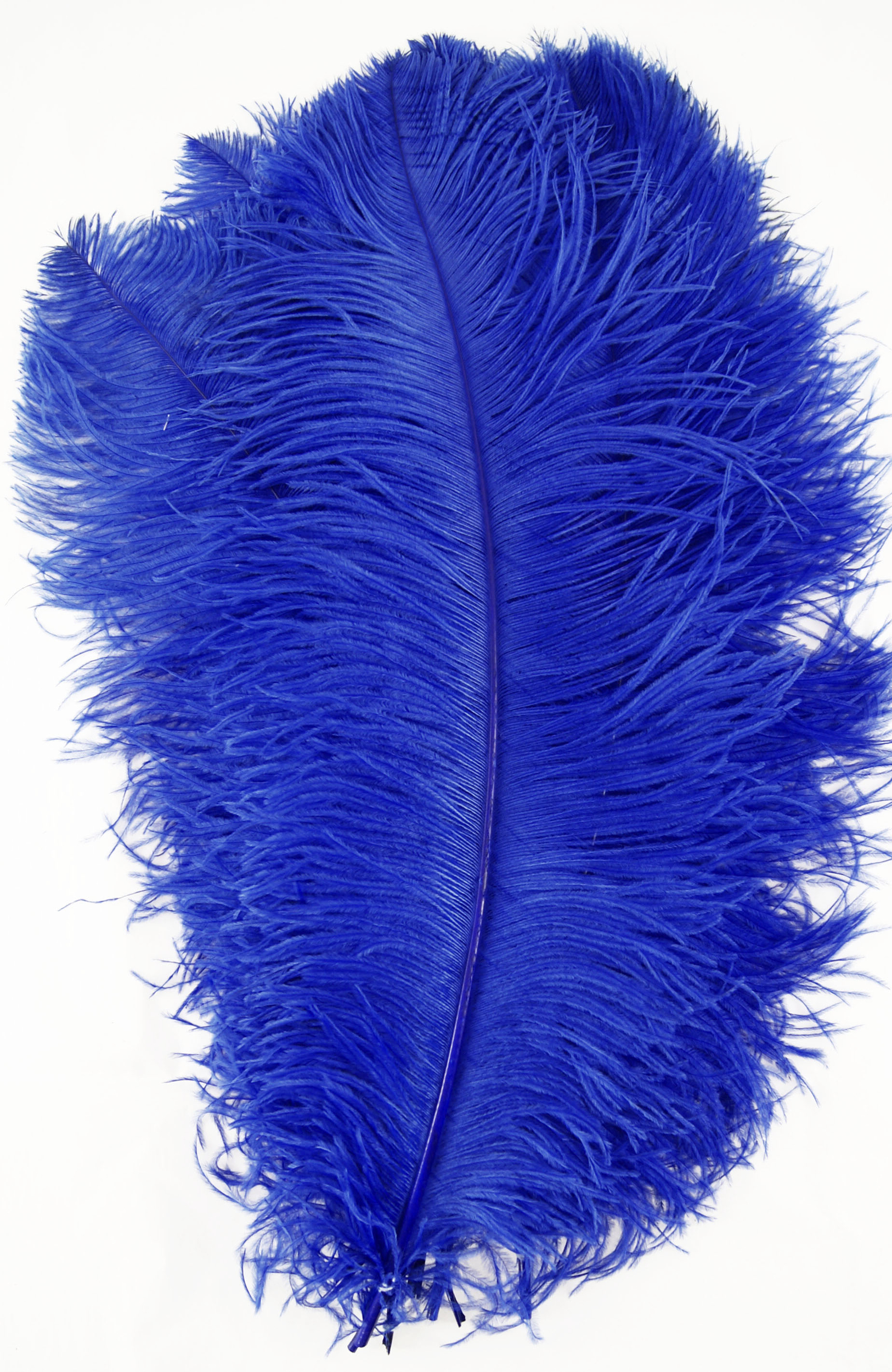 plume autruche grande souple bleu royal