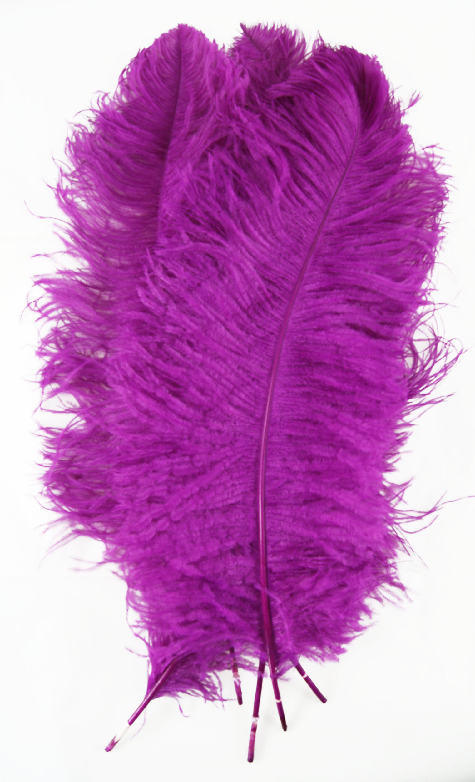 plume autruche grande souple rose fushia