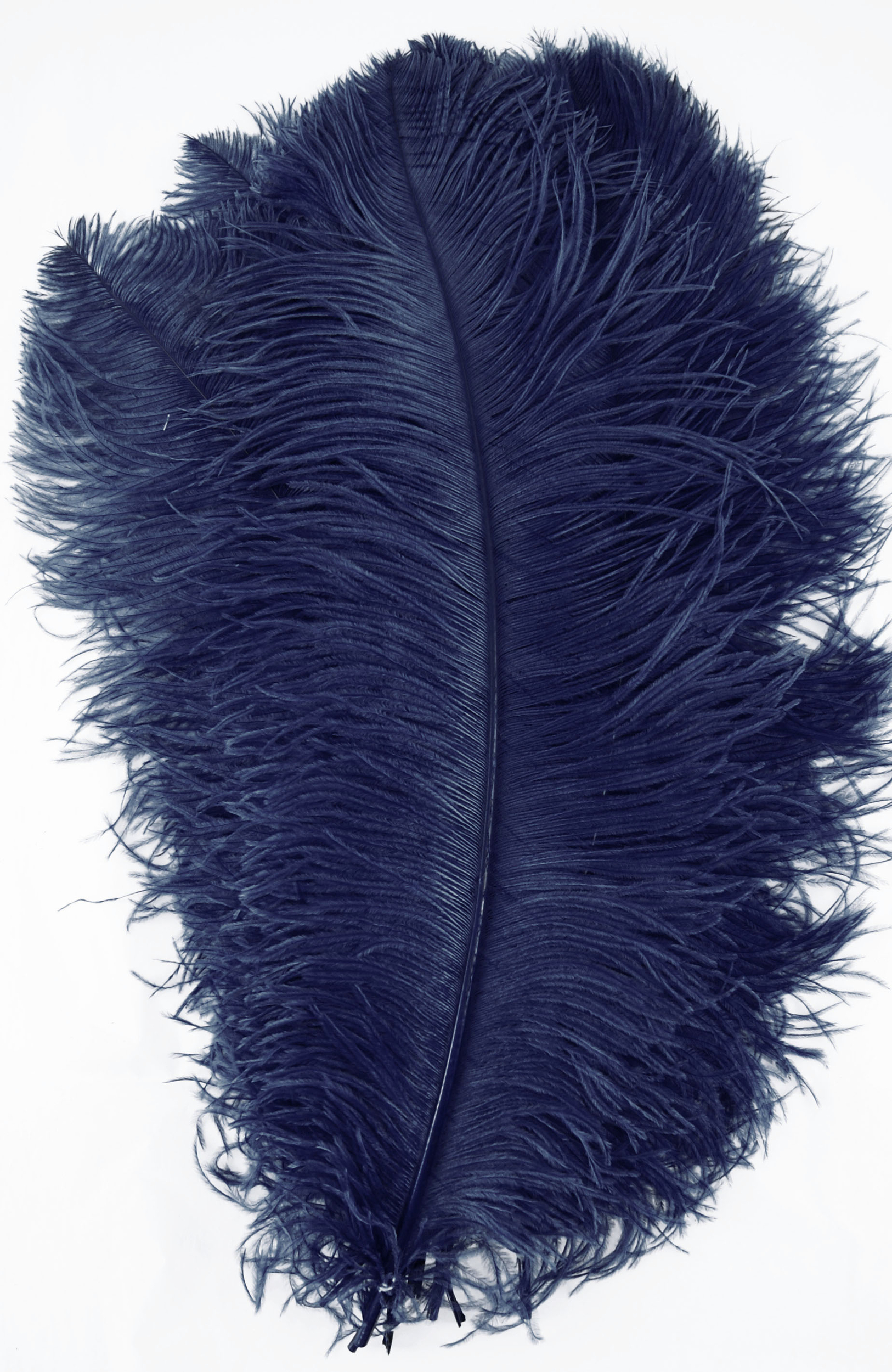 plume autruche grande souple bleu marine