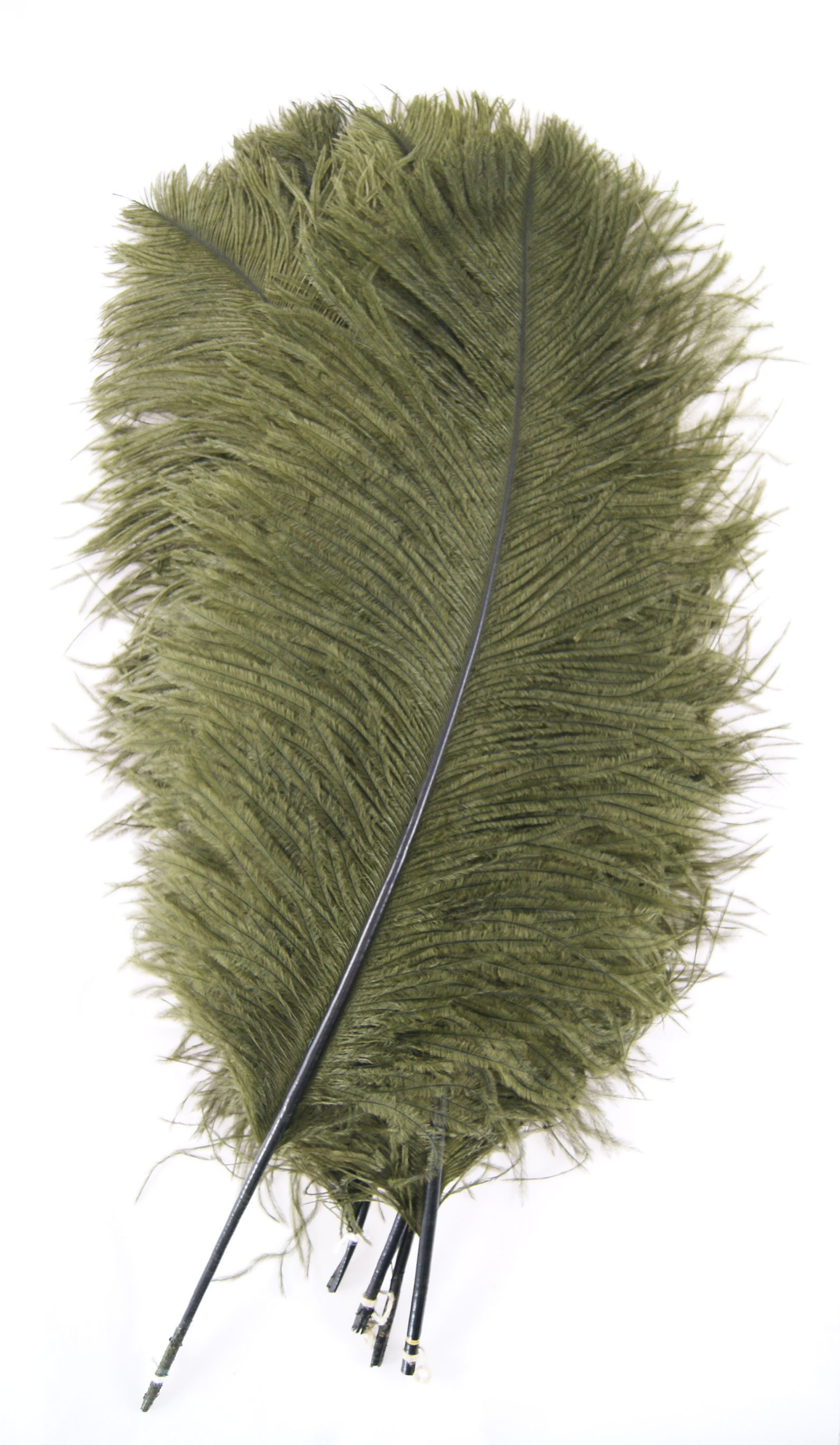plume autruche grande souple vert kaki