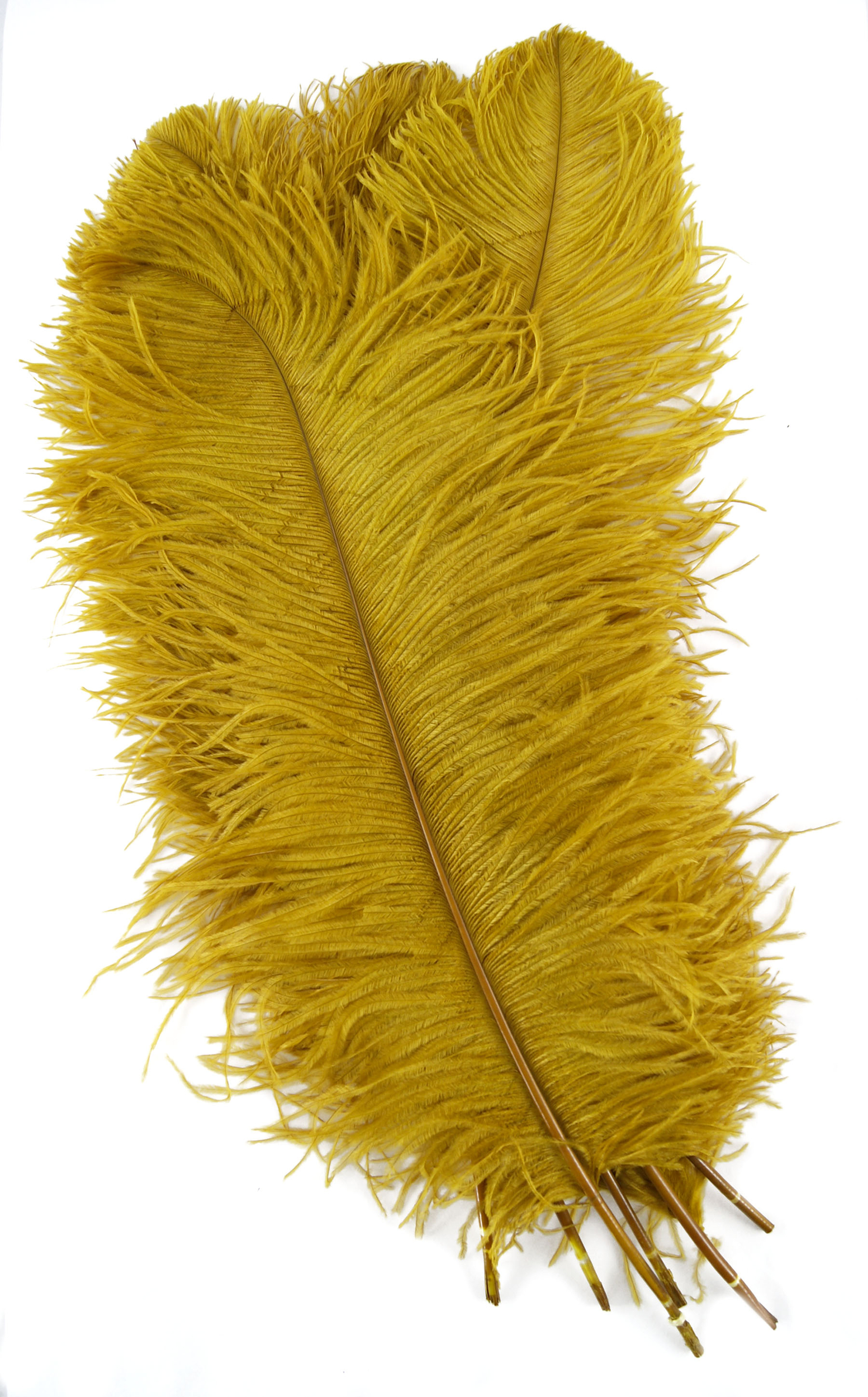 plume autruche grande souple moutarde