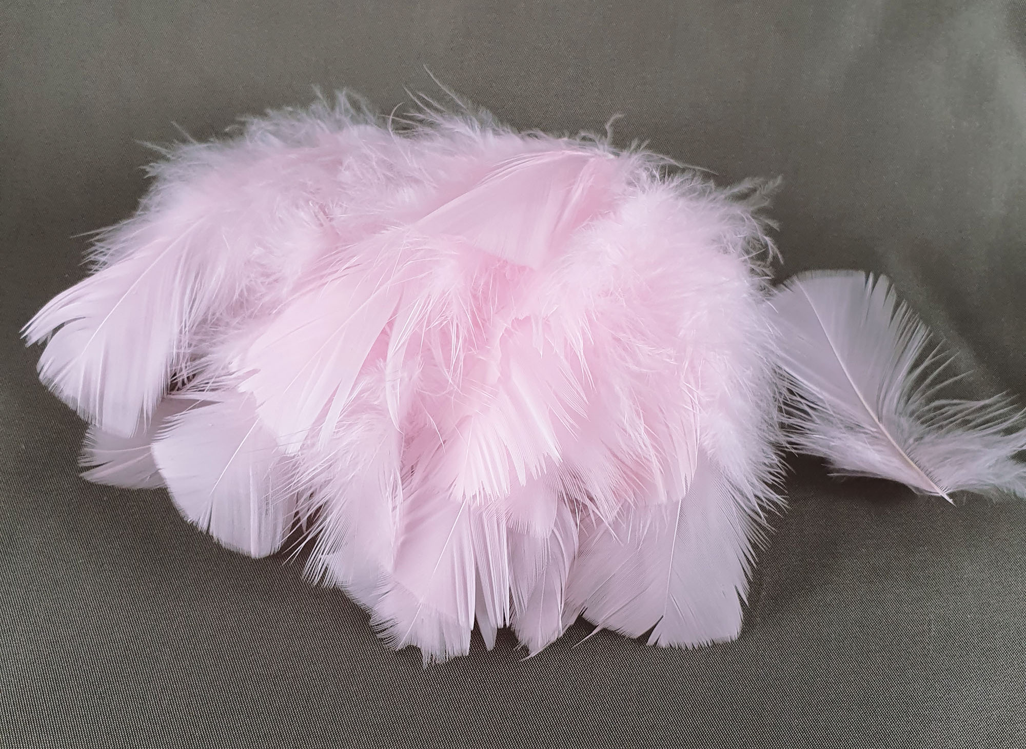 plume de dinde petite coquille duveteuse rose pale