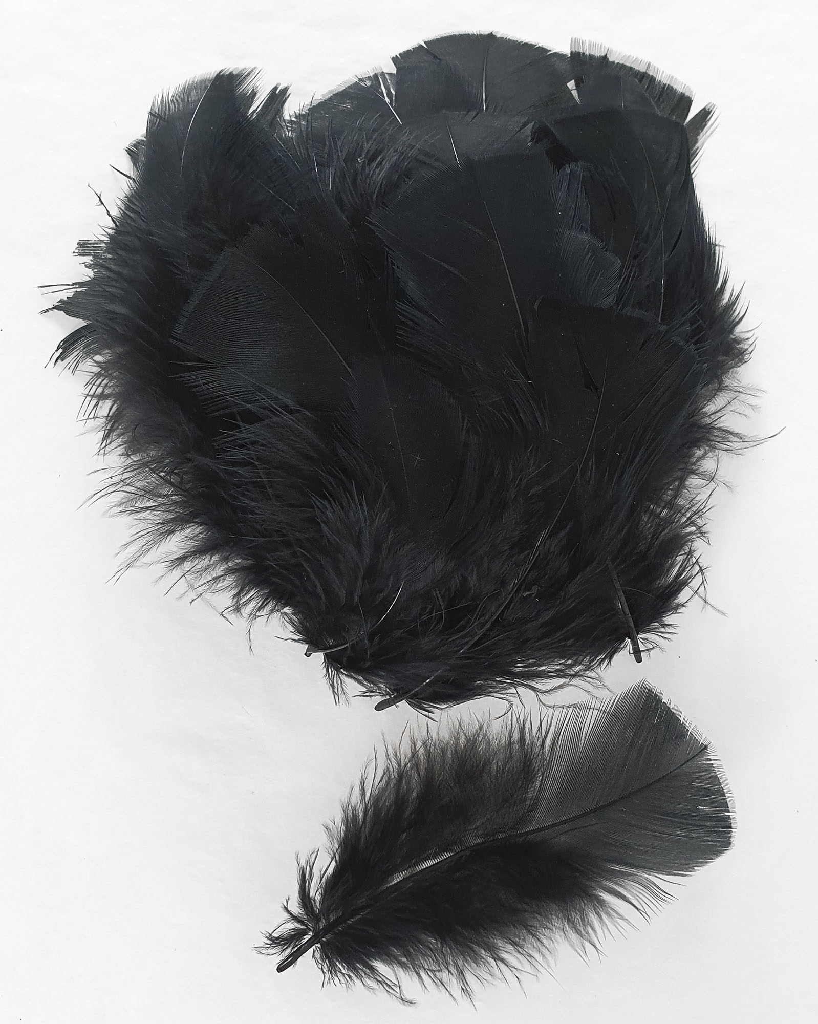 Jambières En Plumes De Coq ( Spécial Pros, Dos Plumes ) Sur La Boutique