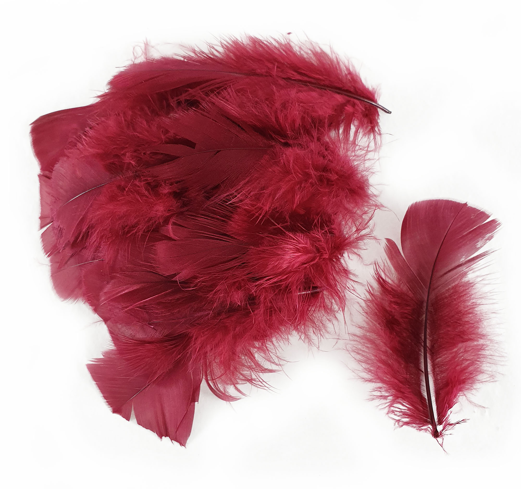 Plumes de dinde blanche 9-12 cm - Plumes Naturelles