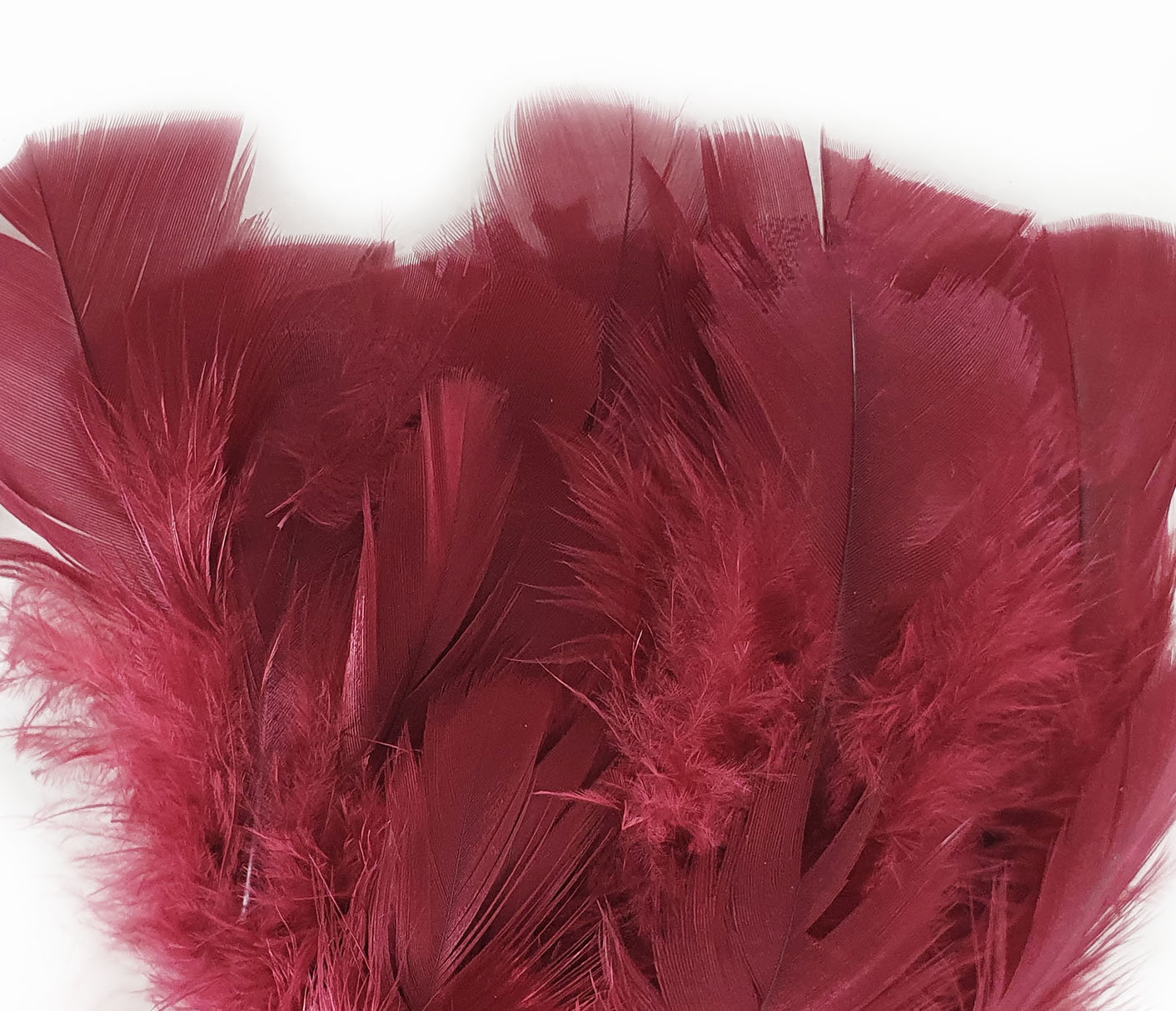 plume de dinde petite coquille duveteuse rubis