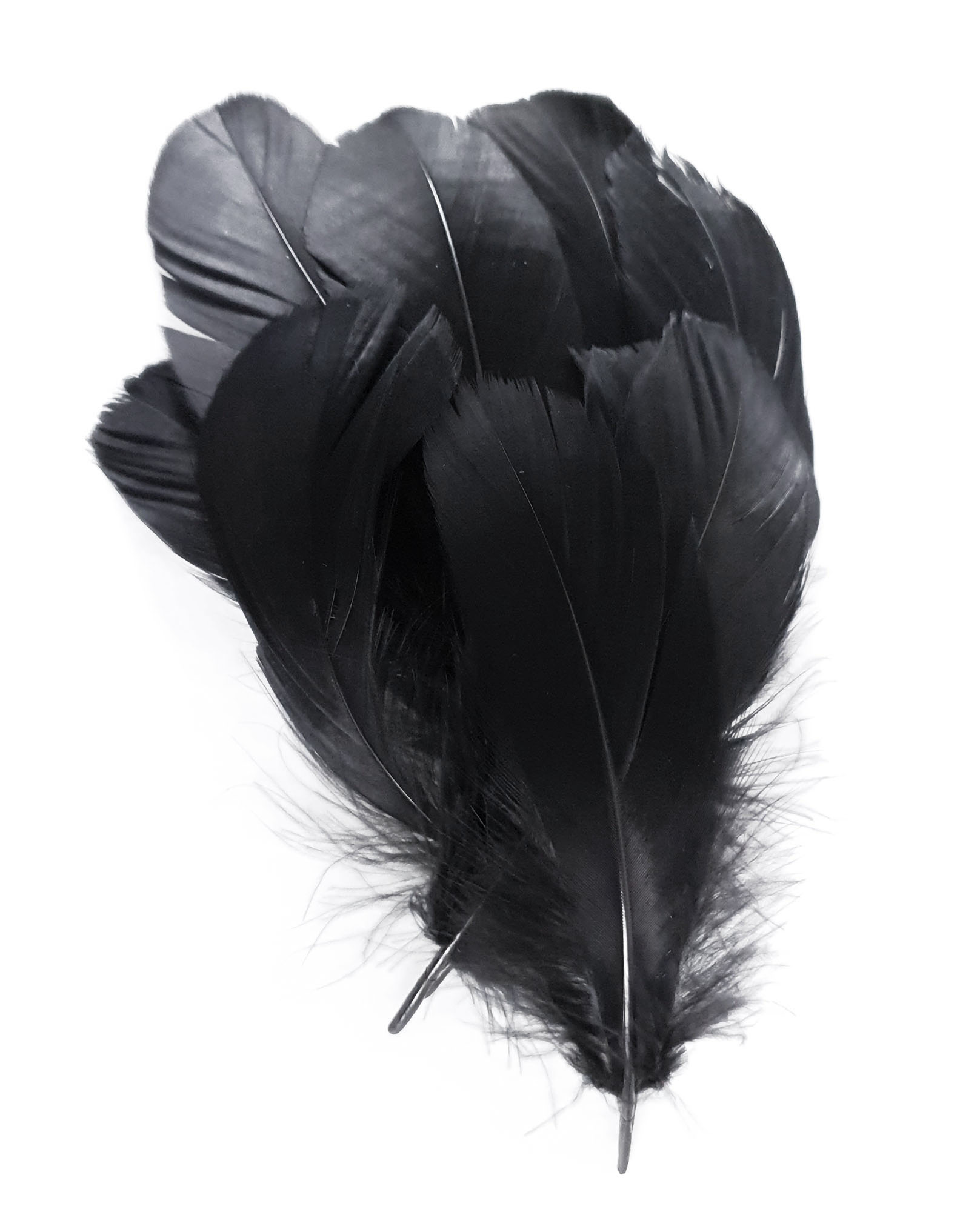 plume palette de dinde petite souple noir