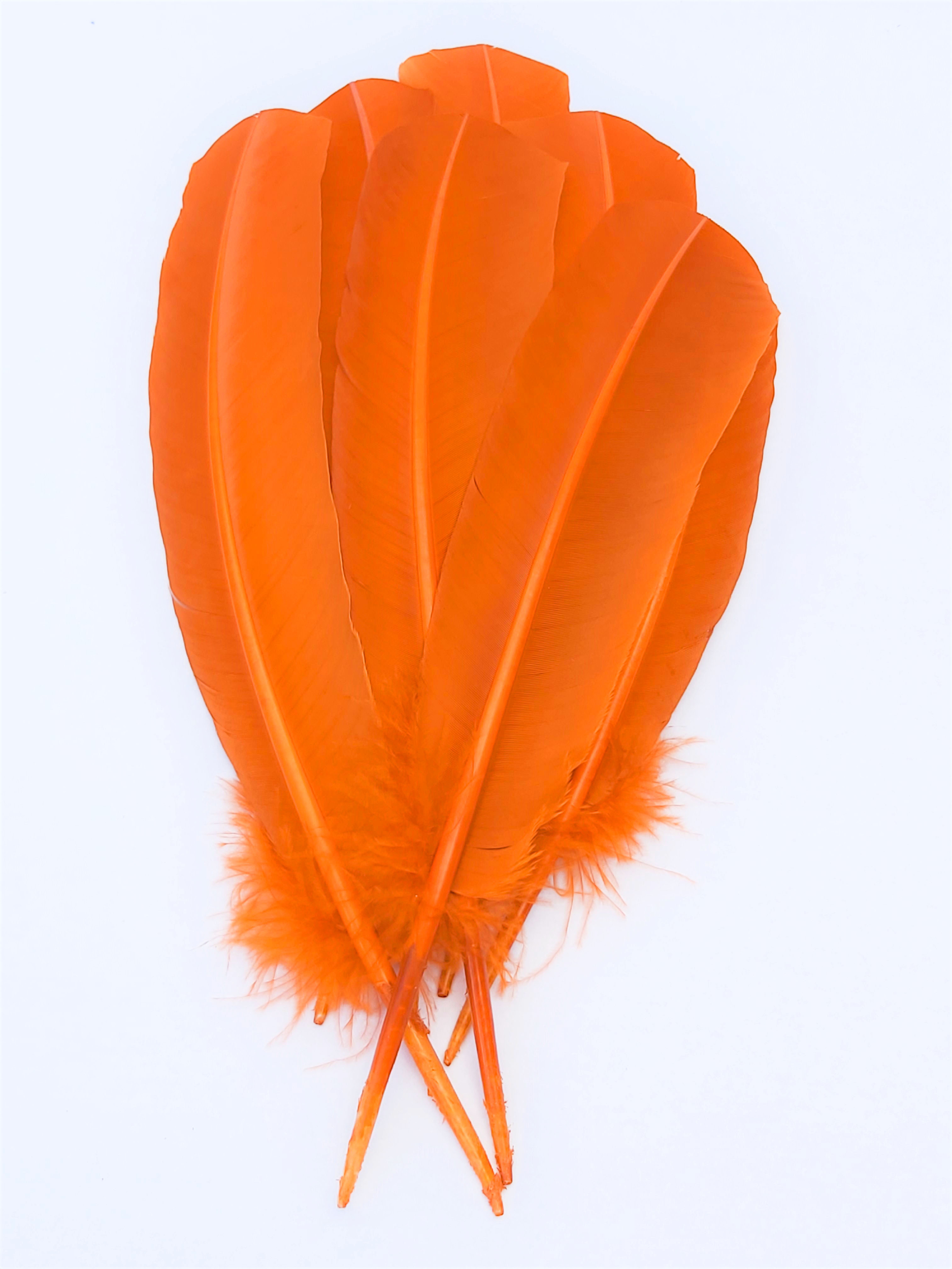 plume grande palette dinde orange