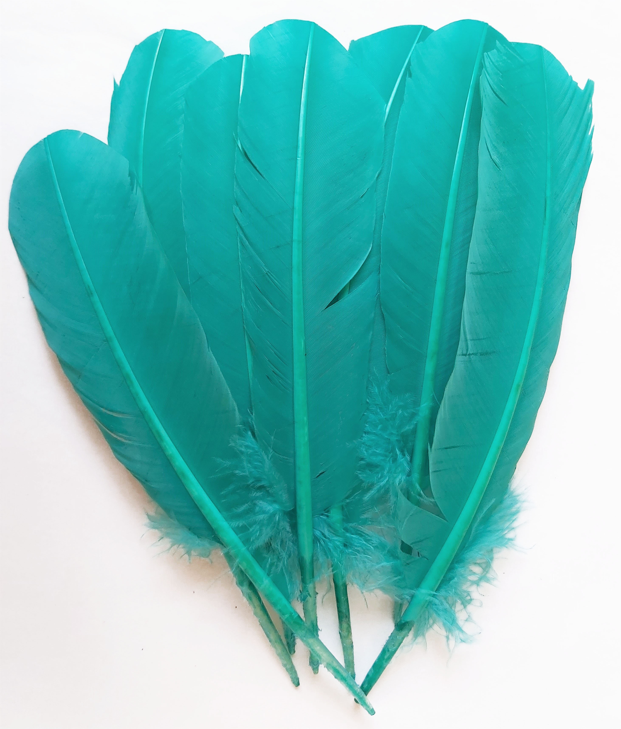 plume grande palette dinde rigide vert emeraude