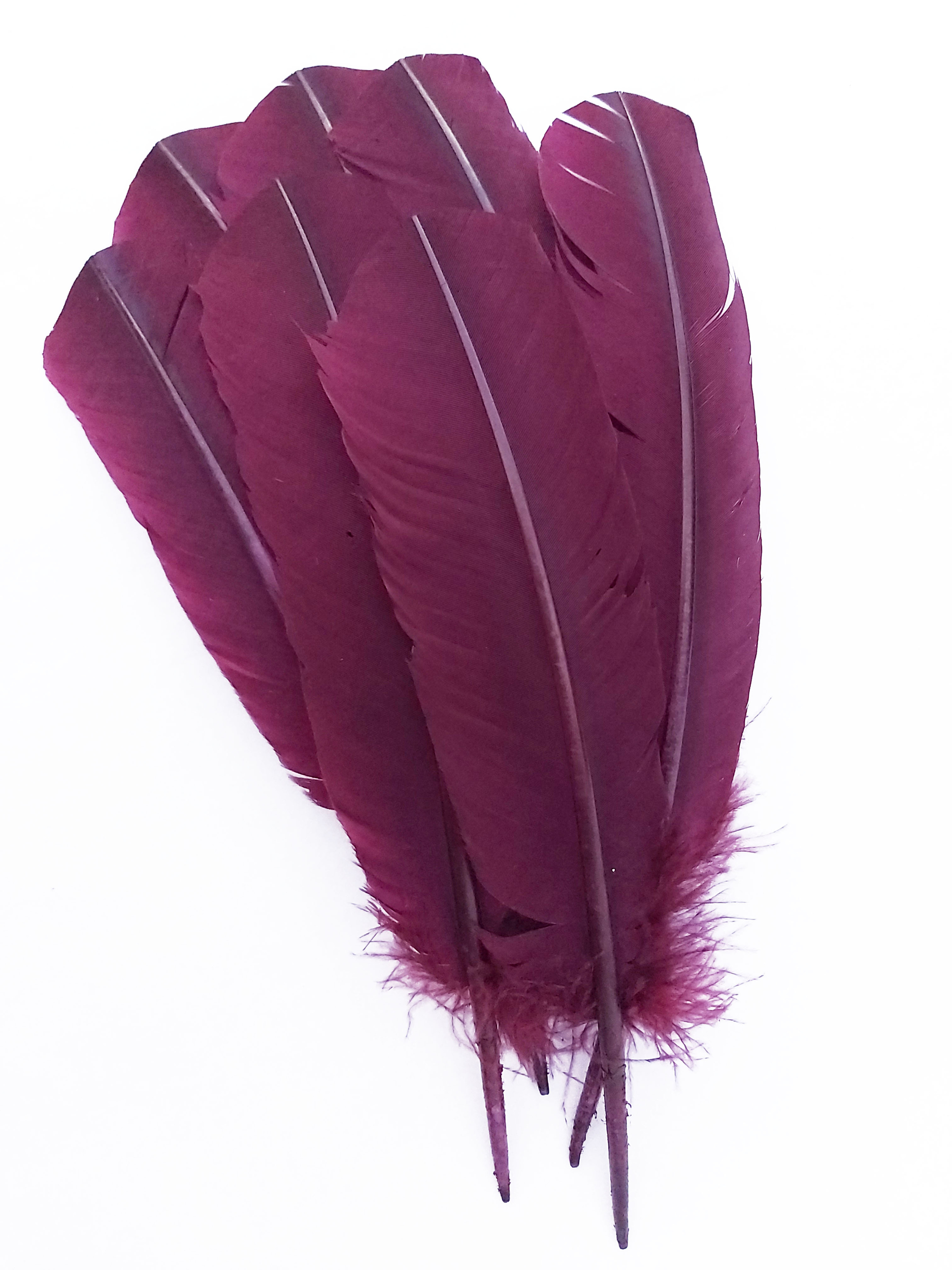 plume grande palette dinde prune de qualite