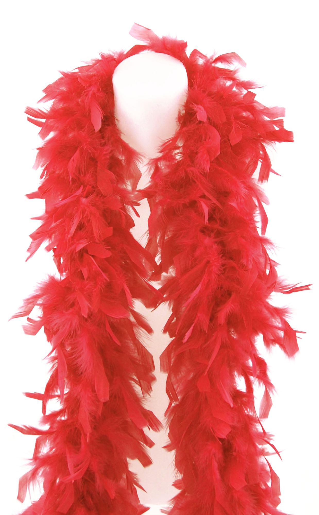 Boa plume (92) 사진