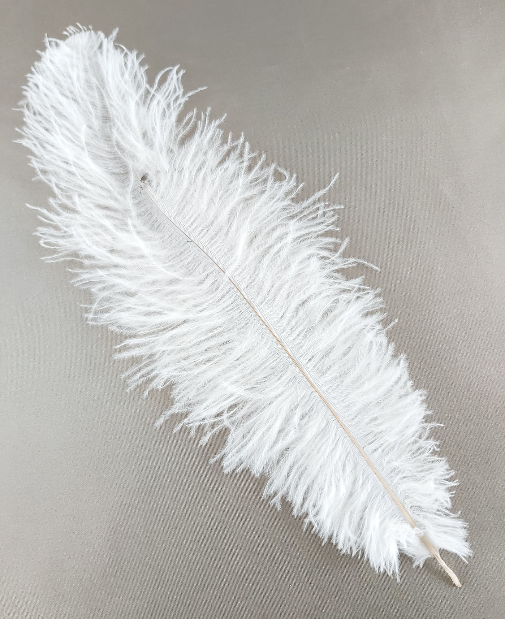 plume autruche souple blanc