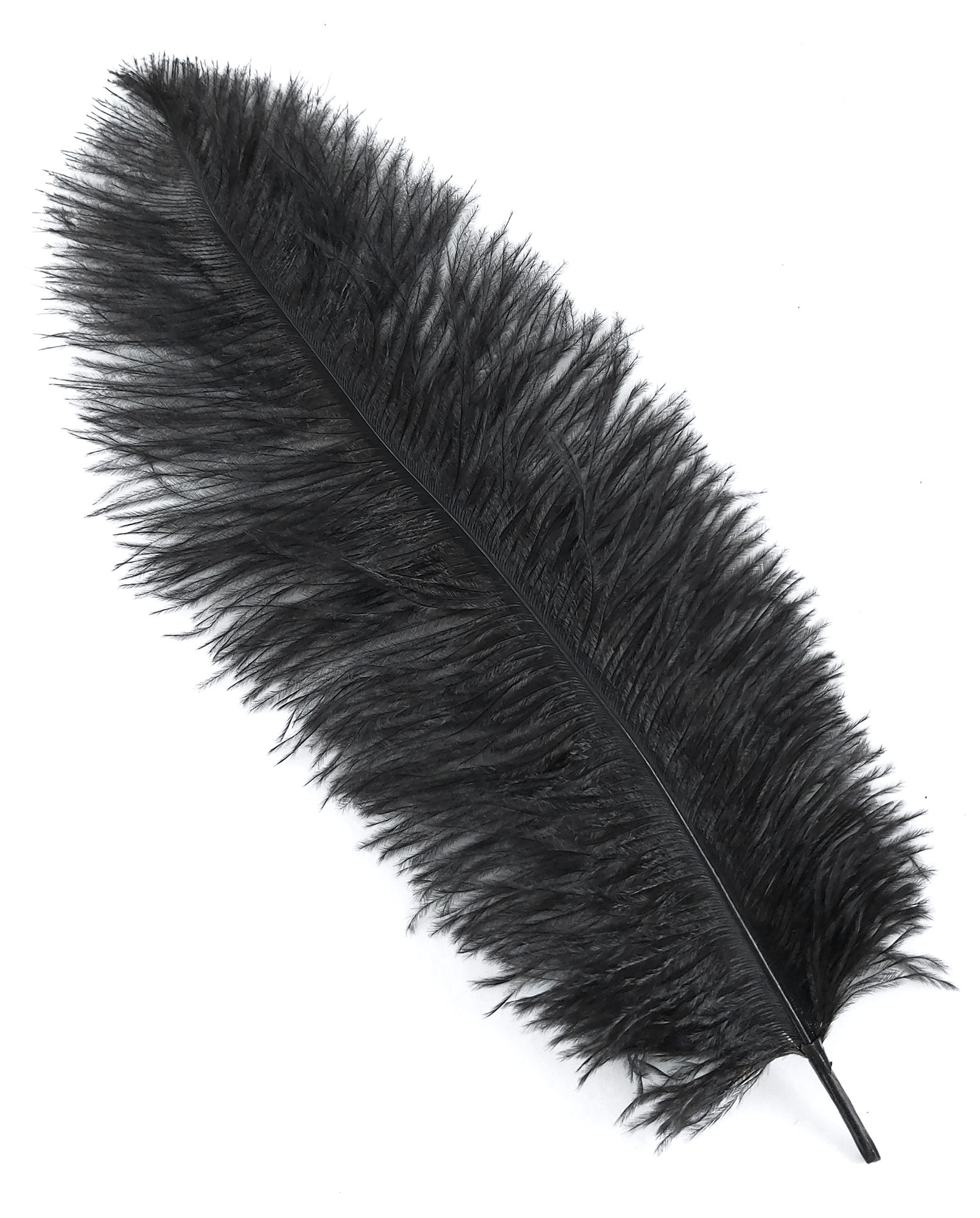 plume autruche souple noir legere