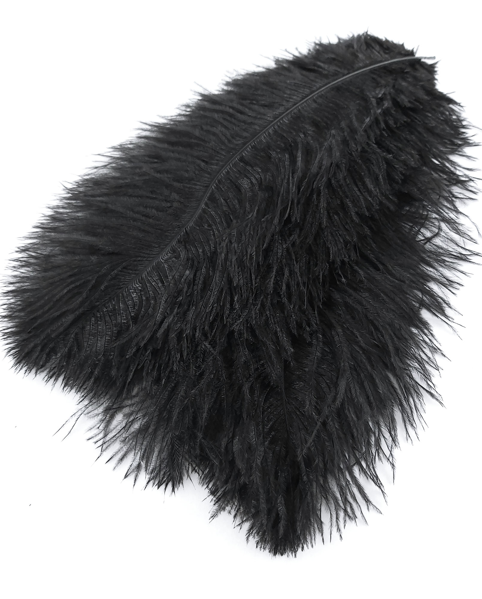 plume autruche souple noir jolie