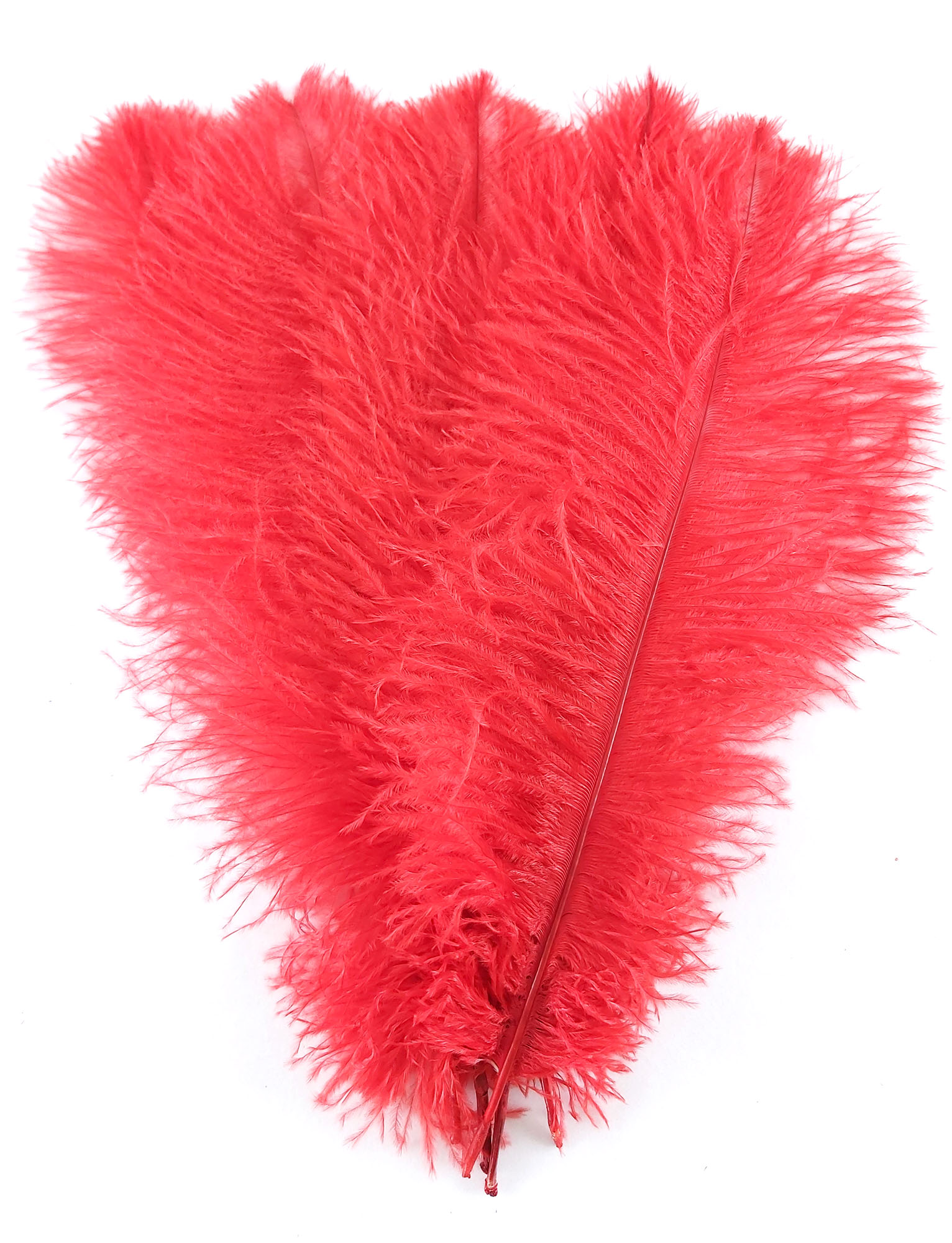 plume autruche souple rouge jolie