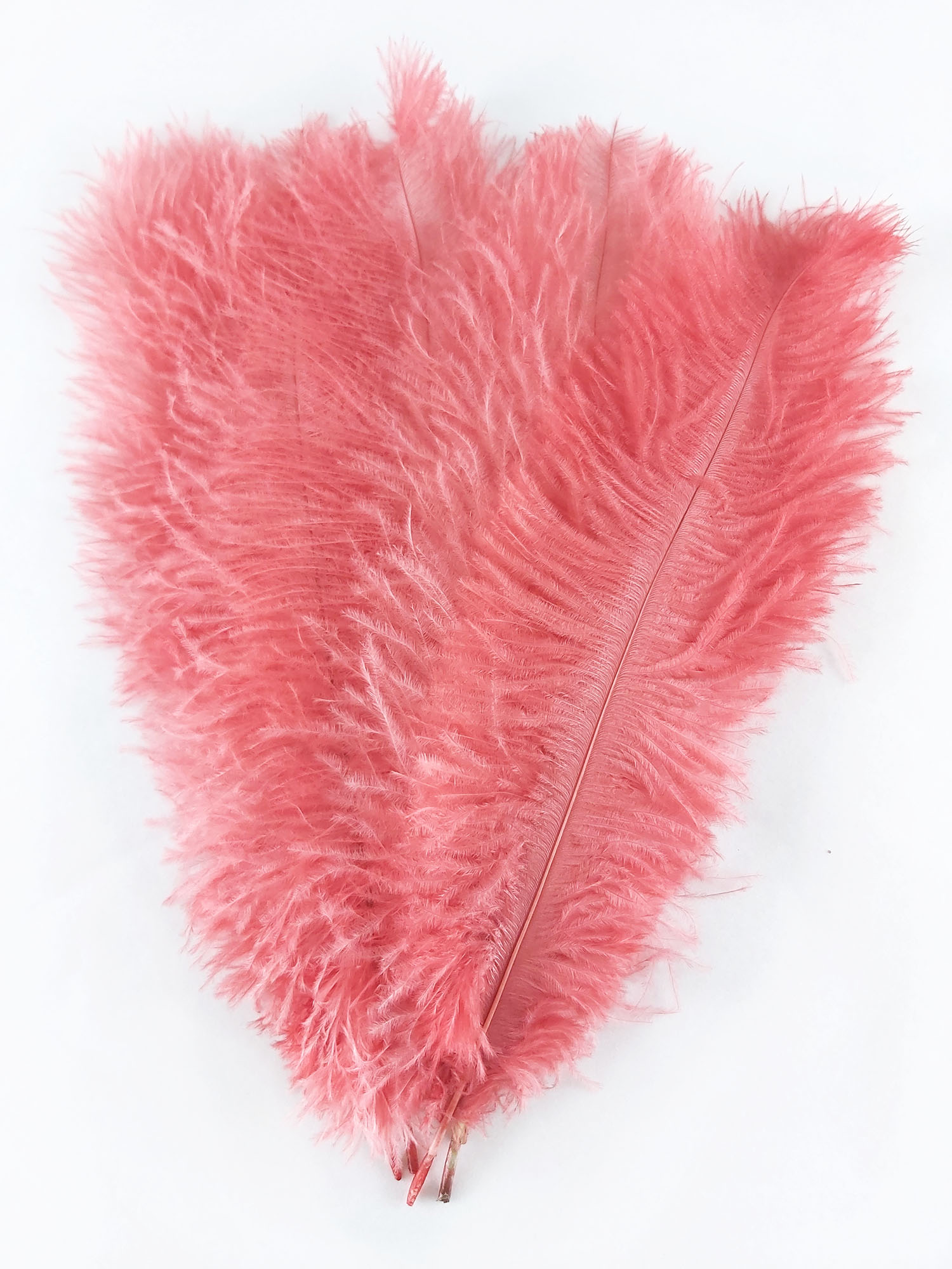 plume autruche souple rose indien de qualité