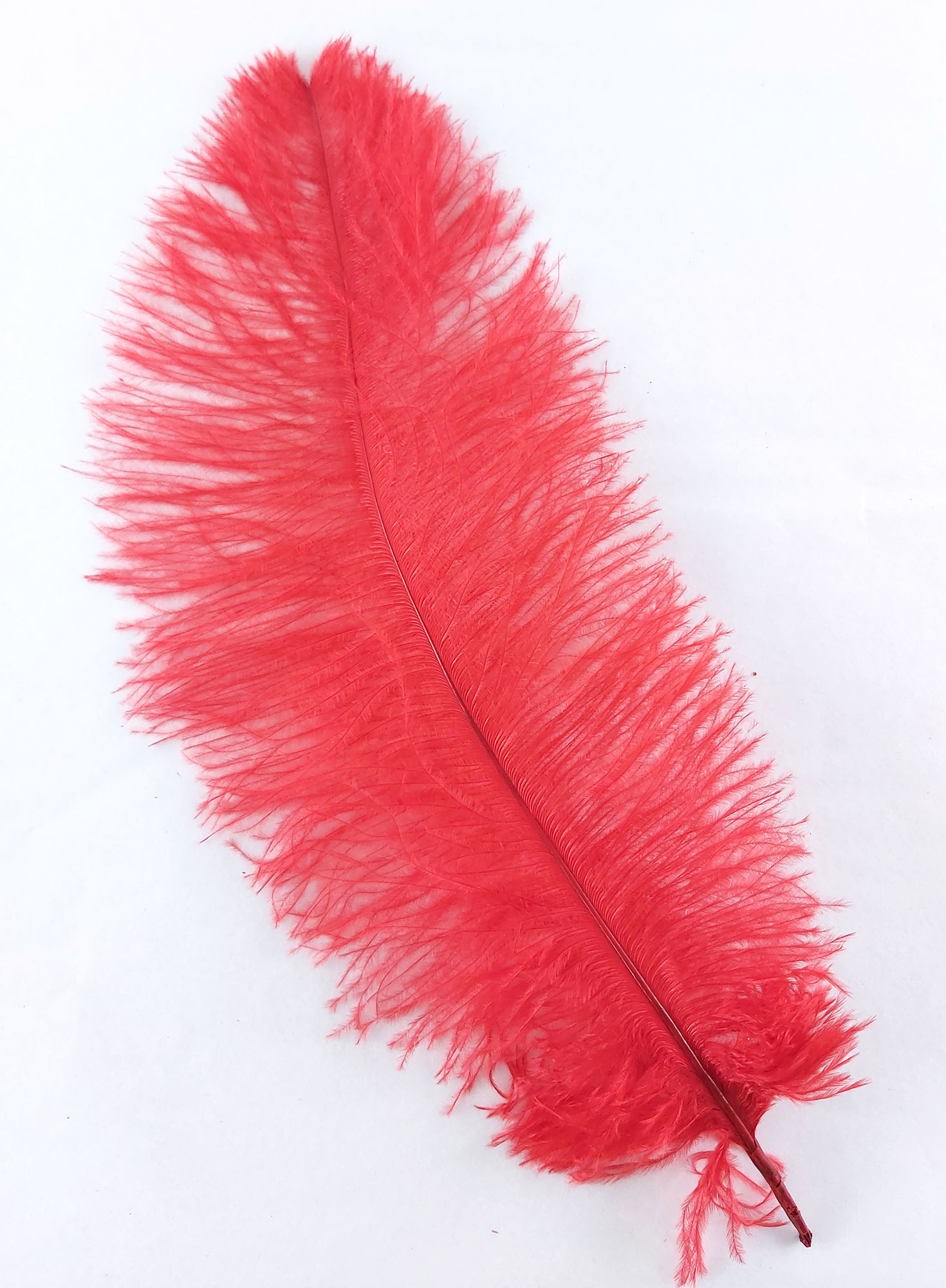 plume autruche souple rouge de qualité