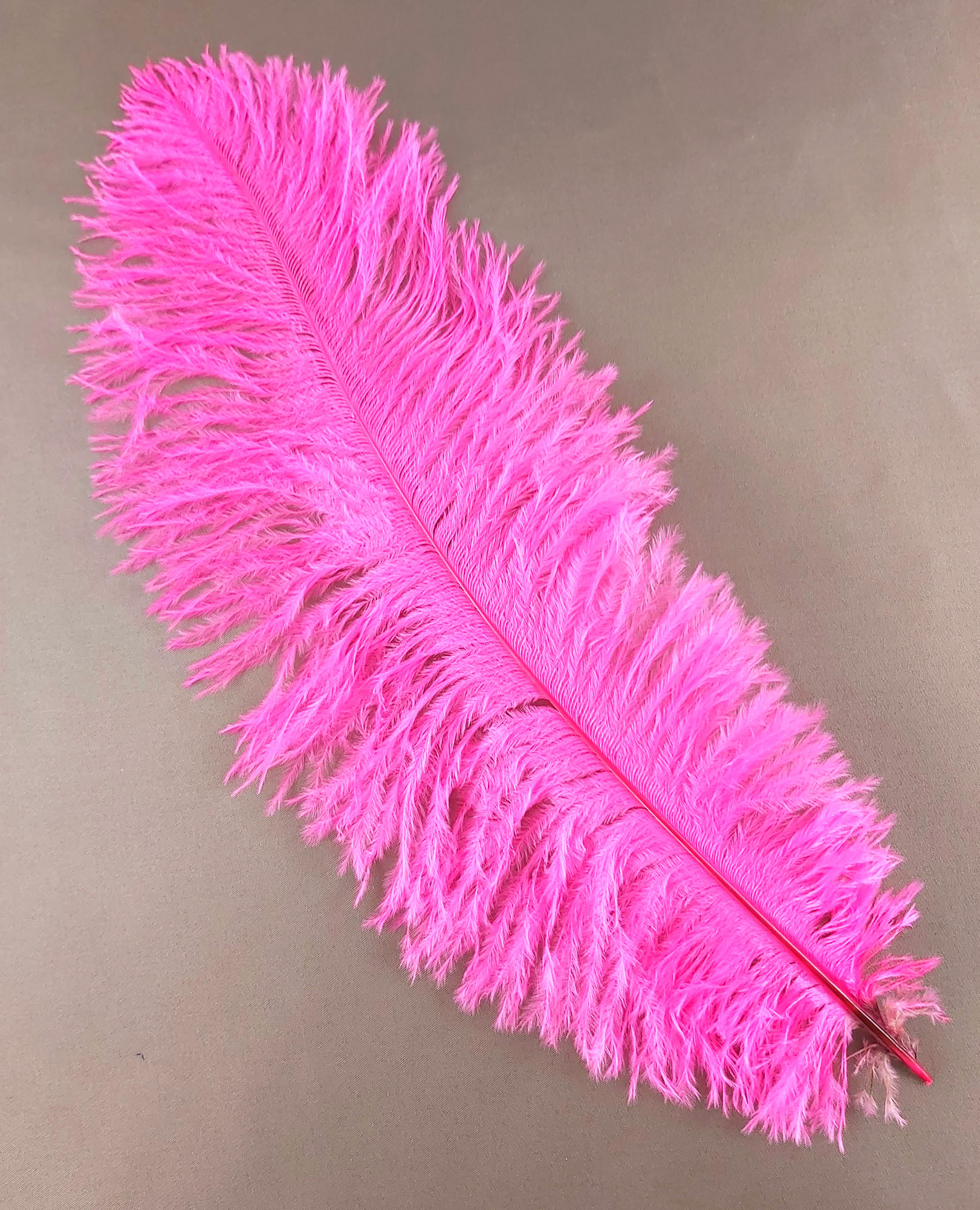 plume autruche souple rose fluo belle