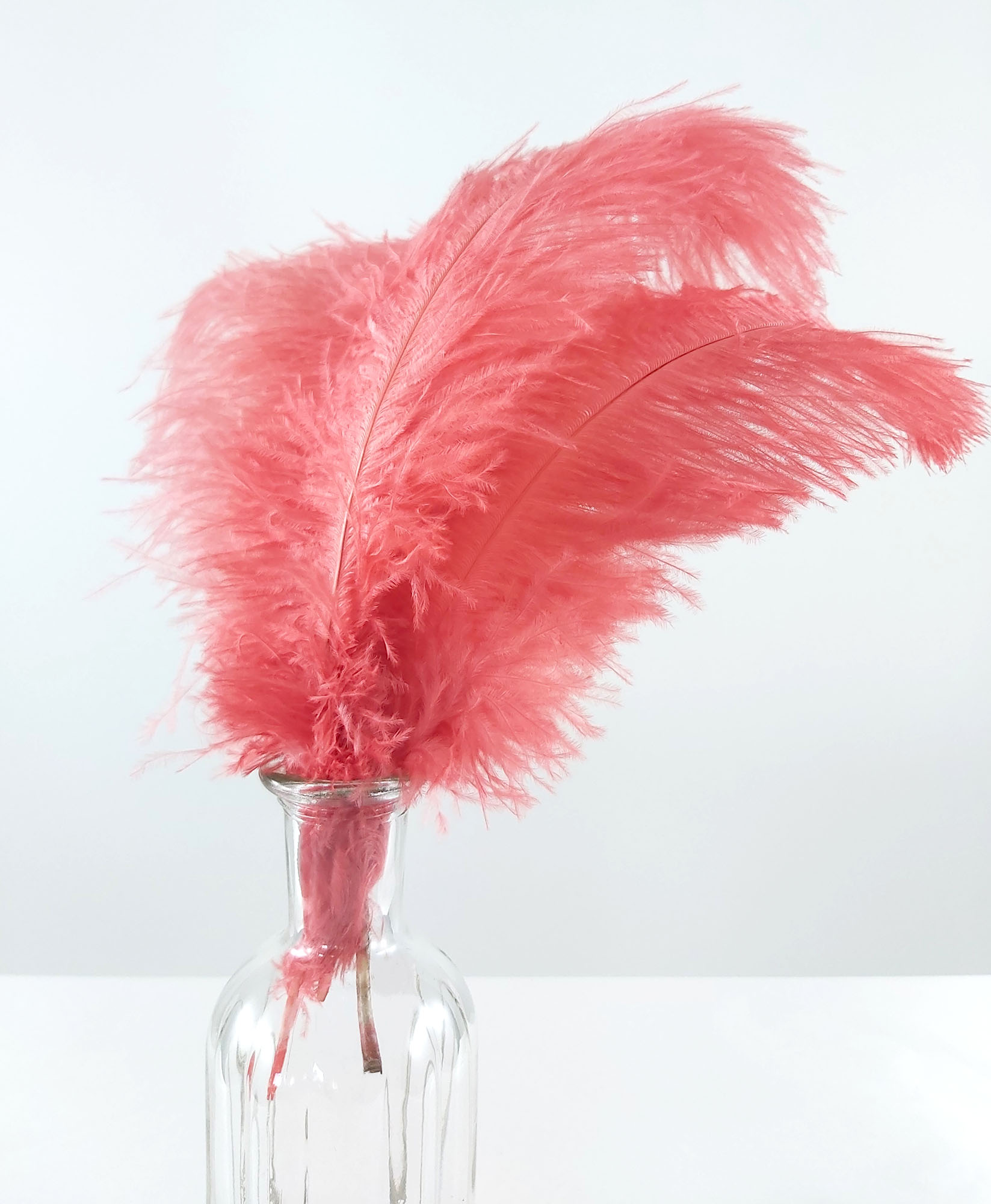 plume autruche souple rose indien