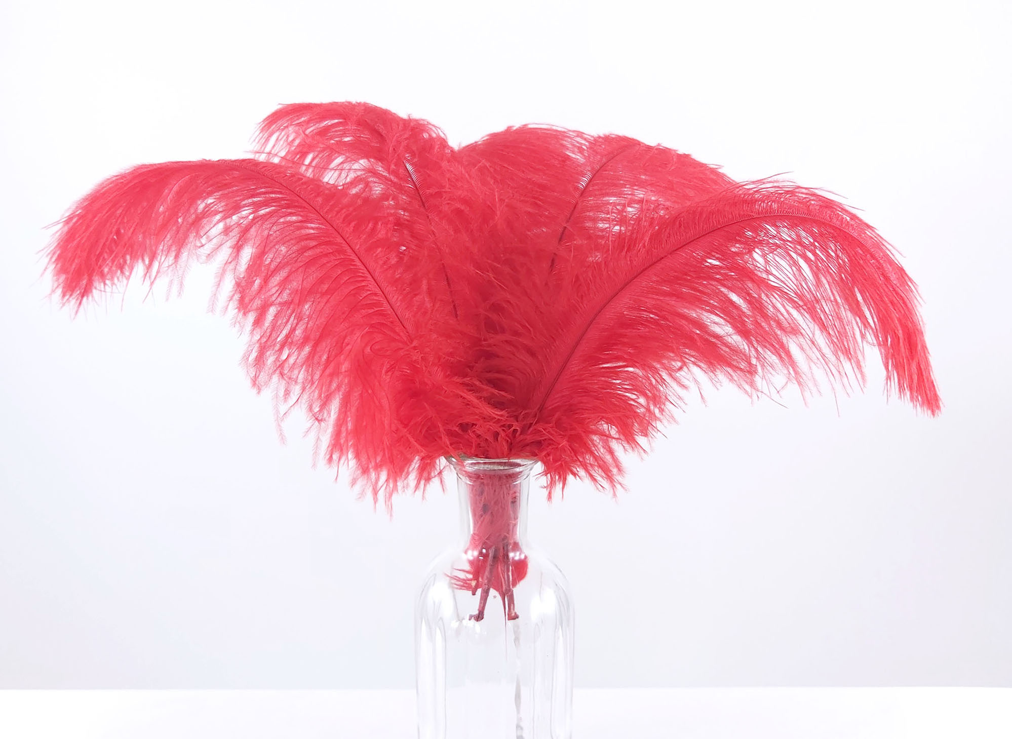 plume autruche souple rouge