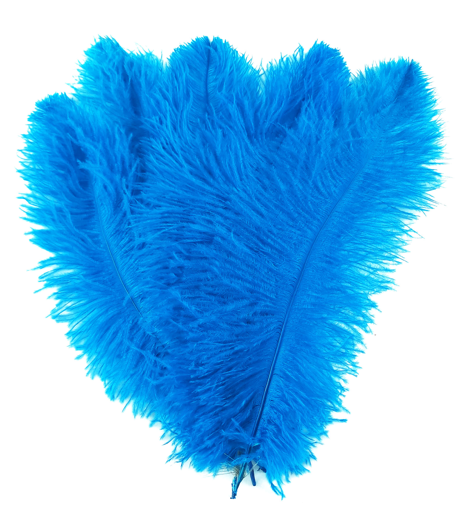 plume autruche souple bleu turquoise