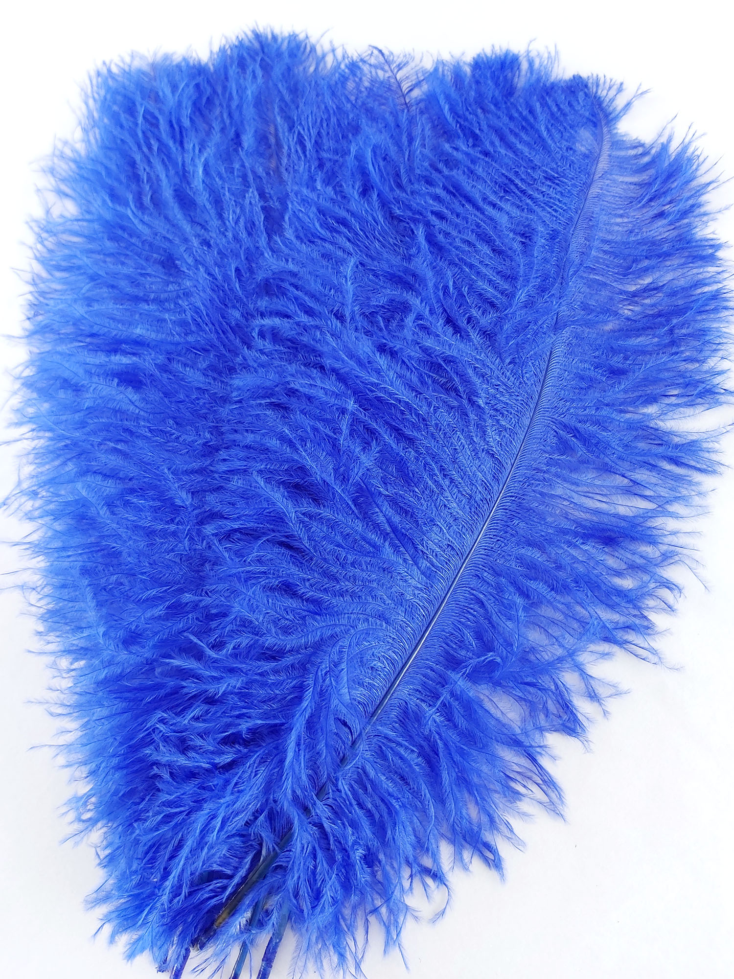 plume autruche souple bleu royal belle