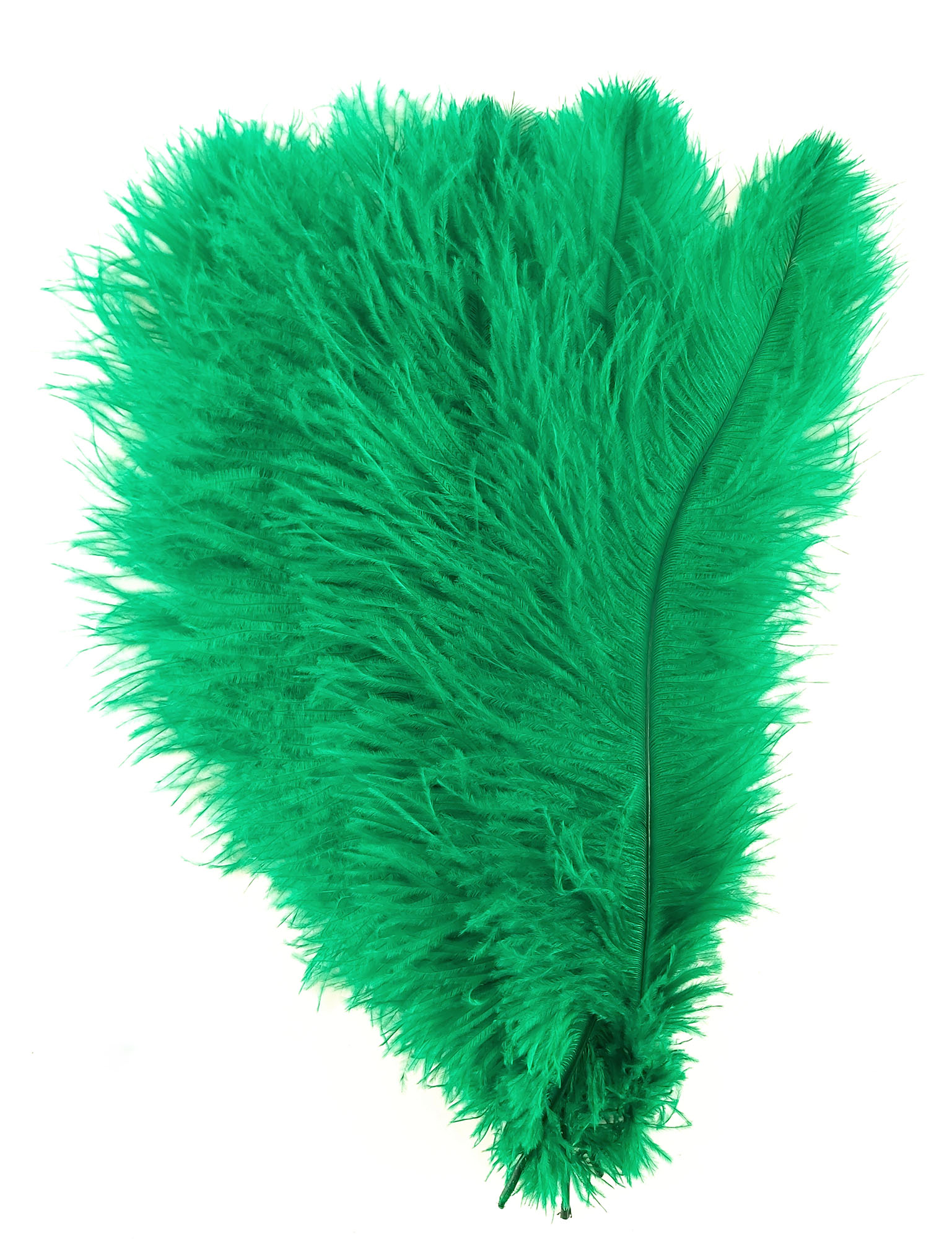 plume autruche souple vert de qualite