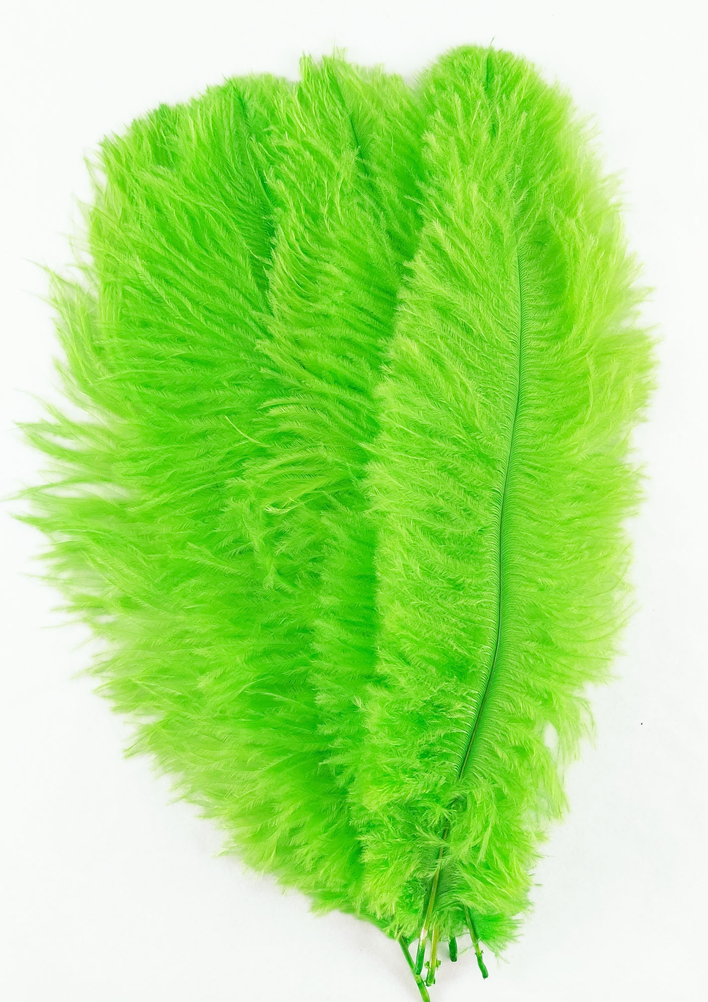 plume autruche souple vert fluo jolie