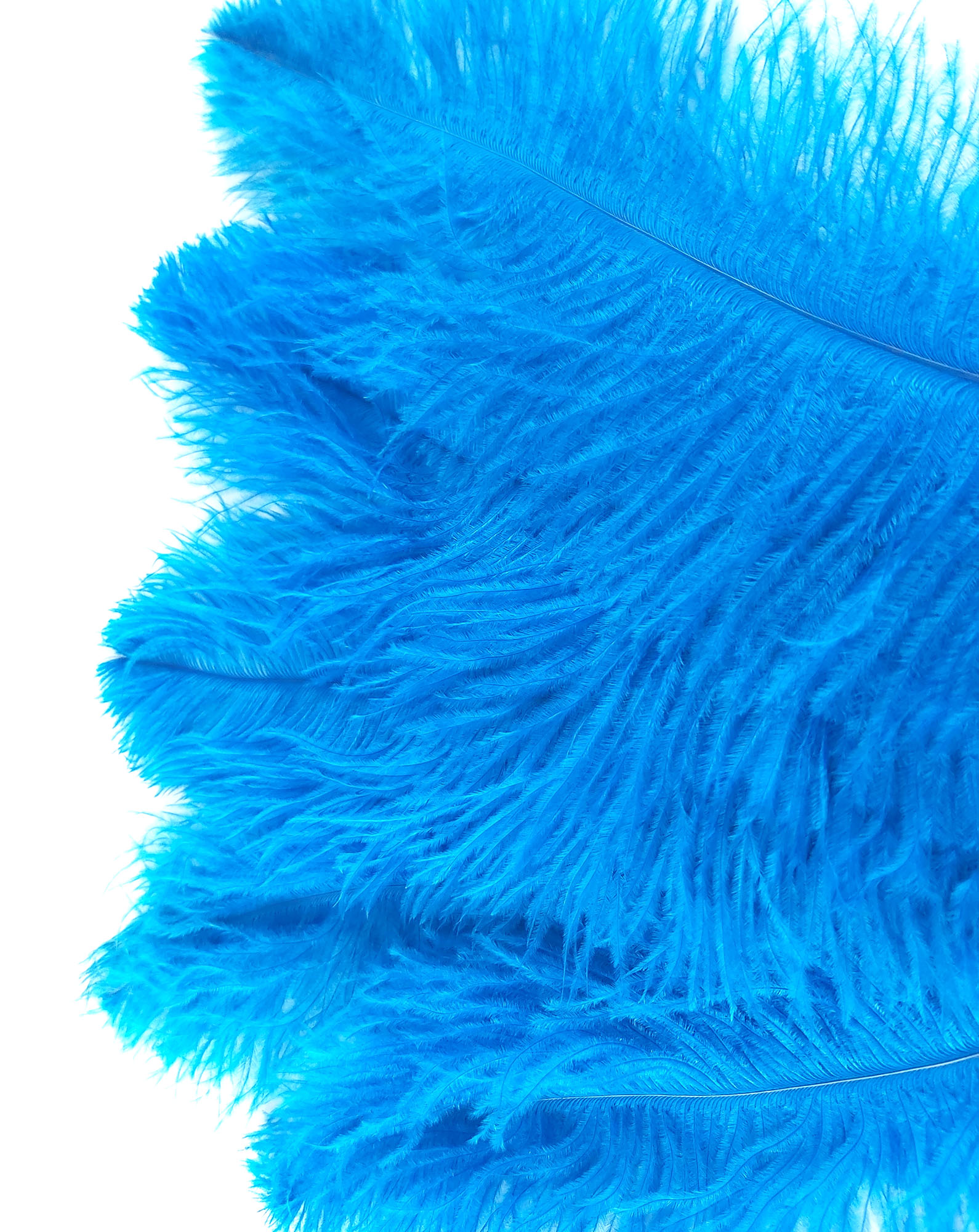 plume autruche souple turquoise