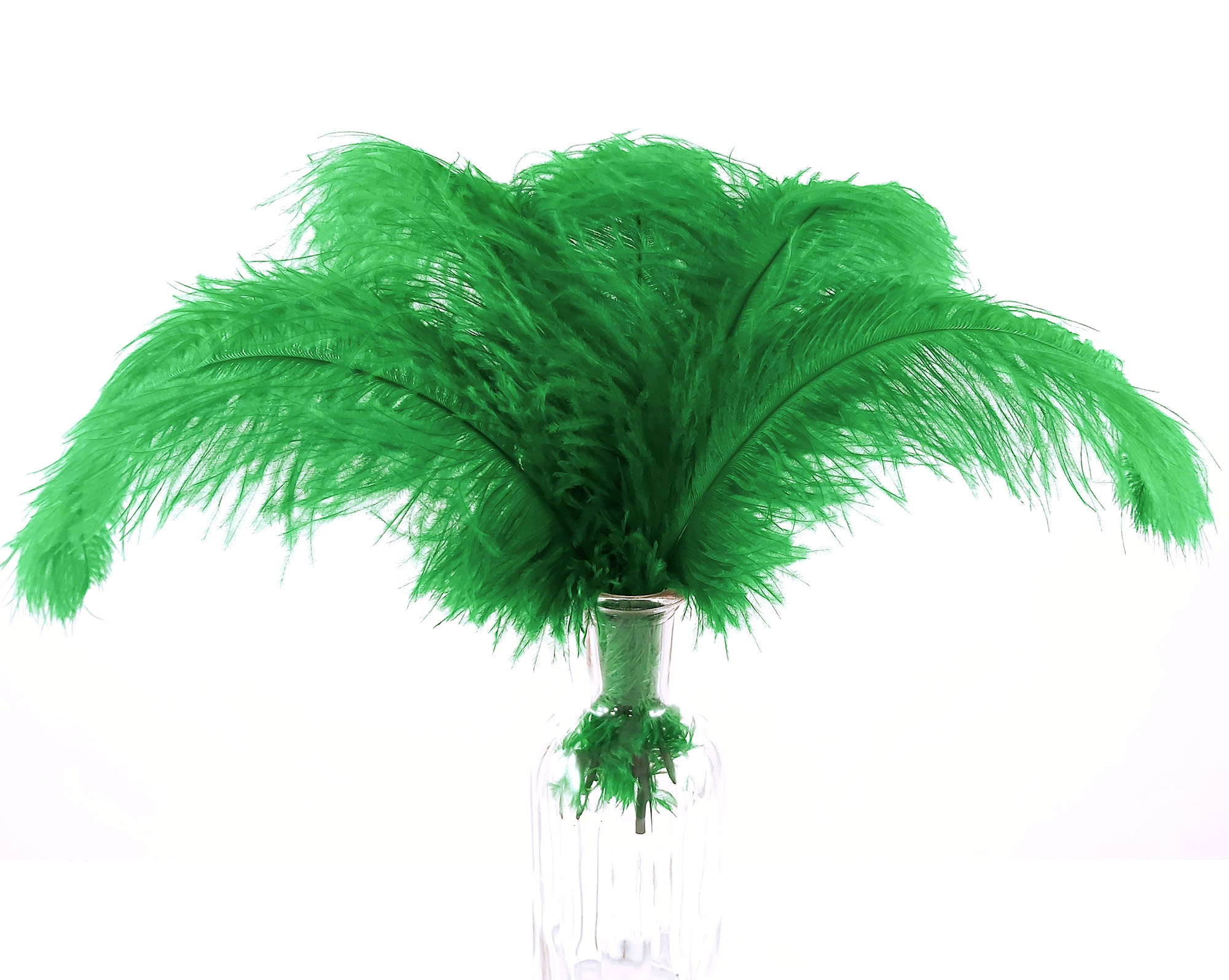 plume autruche souple belle vert