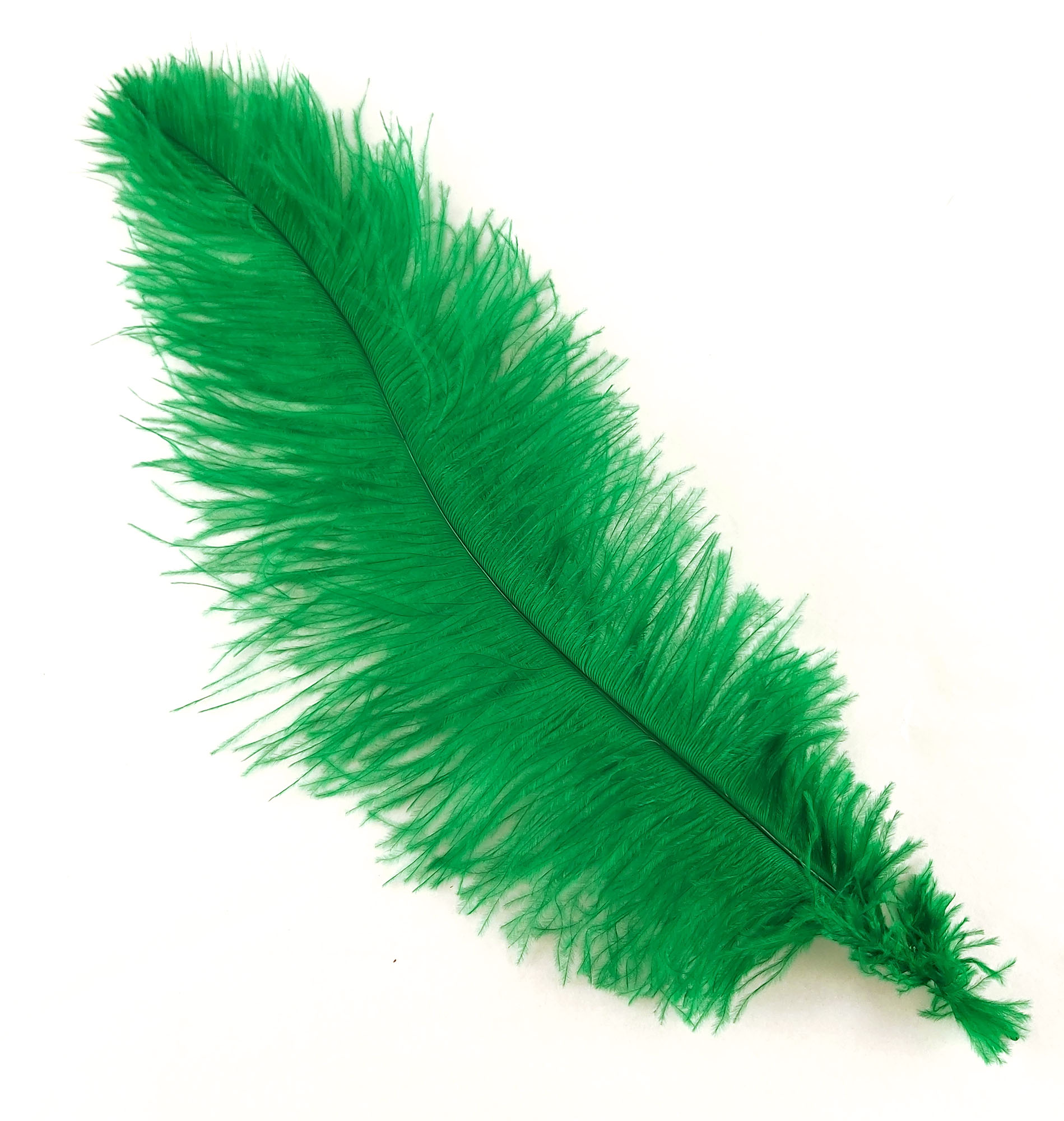plume autruche souple vert