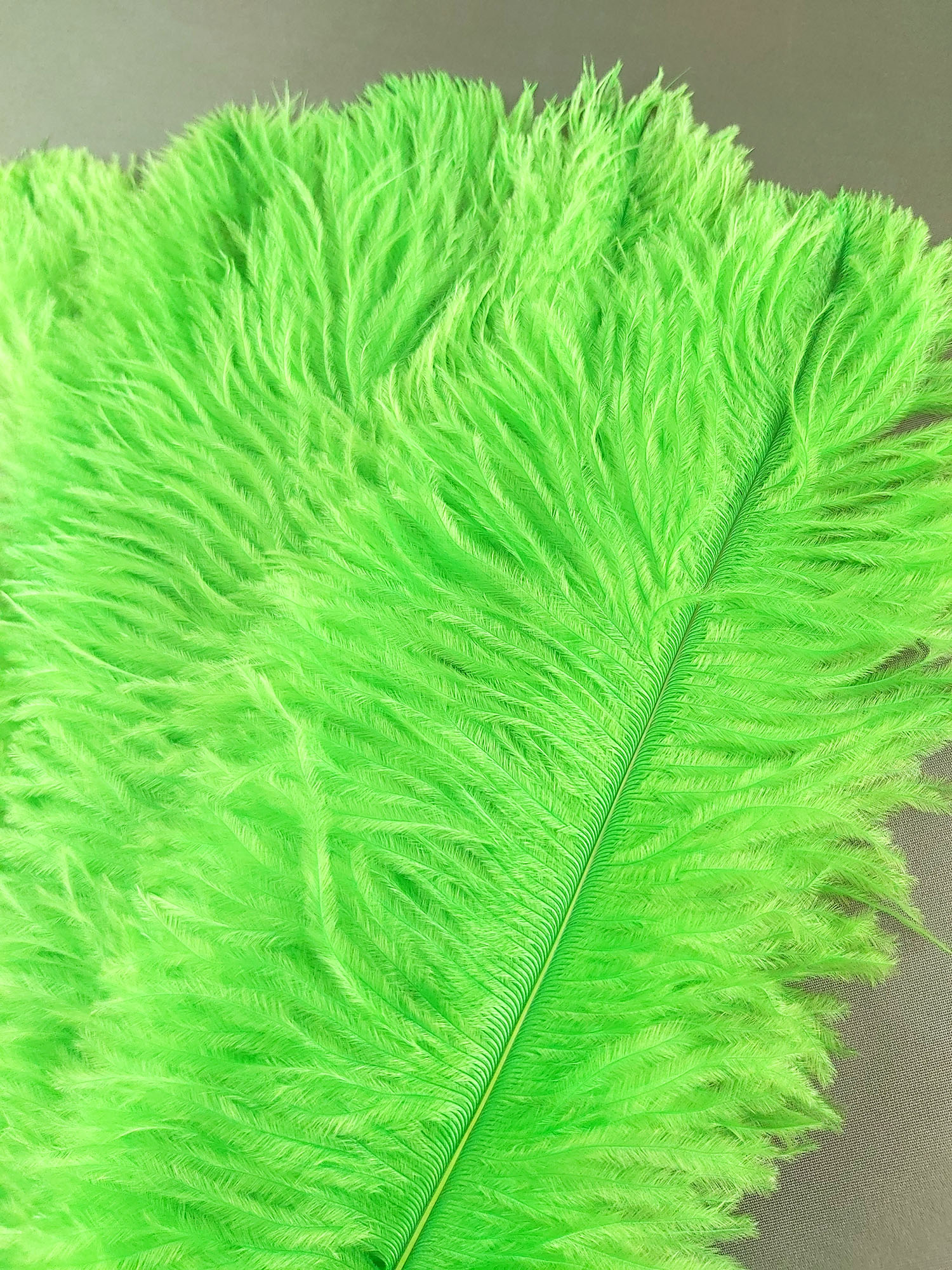 plume autruche souple vert fluo de qualité