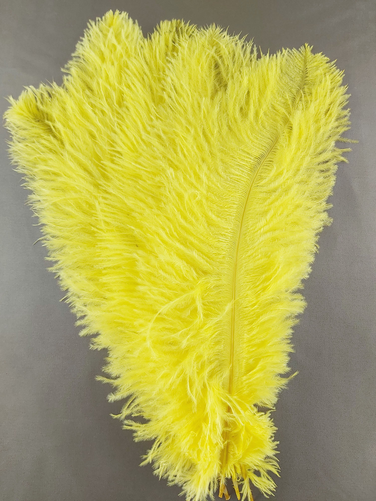 plume autruche souple legere jaune