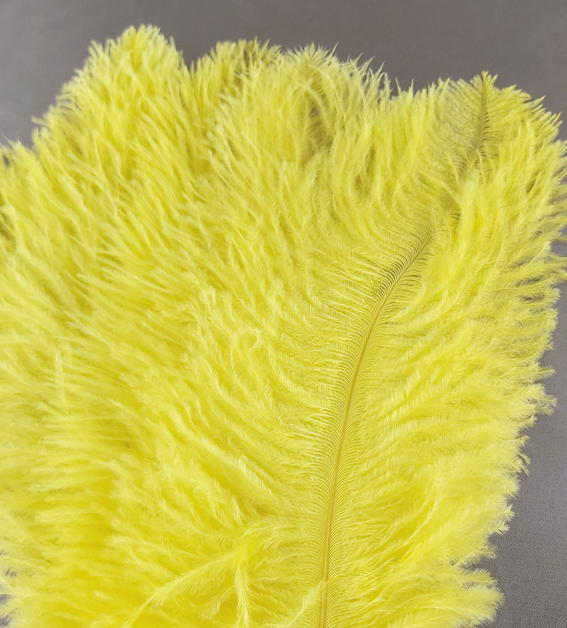 plume autruche souple jaune