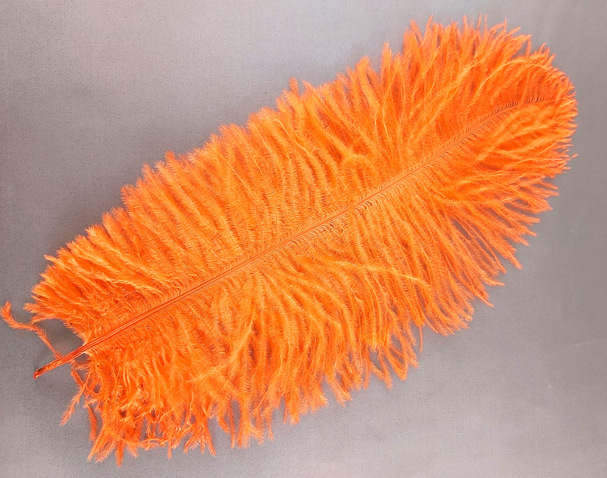 plume autruche souple belle orange fluo