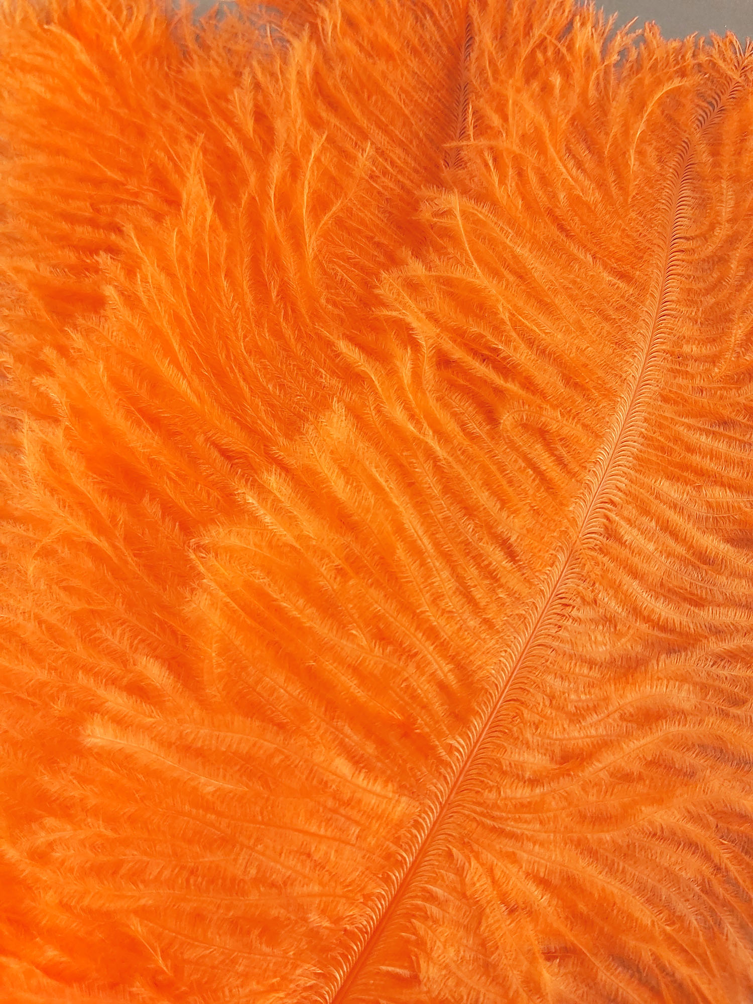 plume autruche souple orange fluo