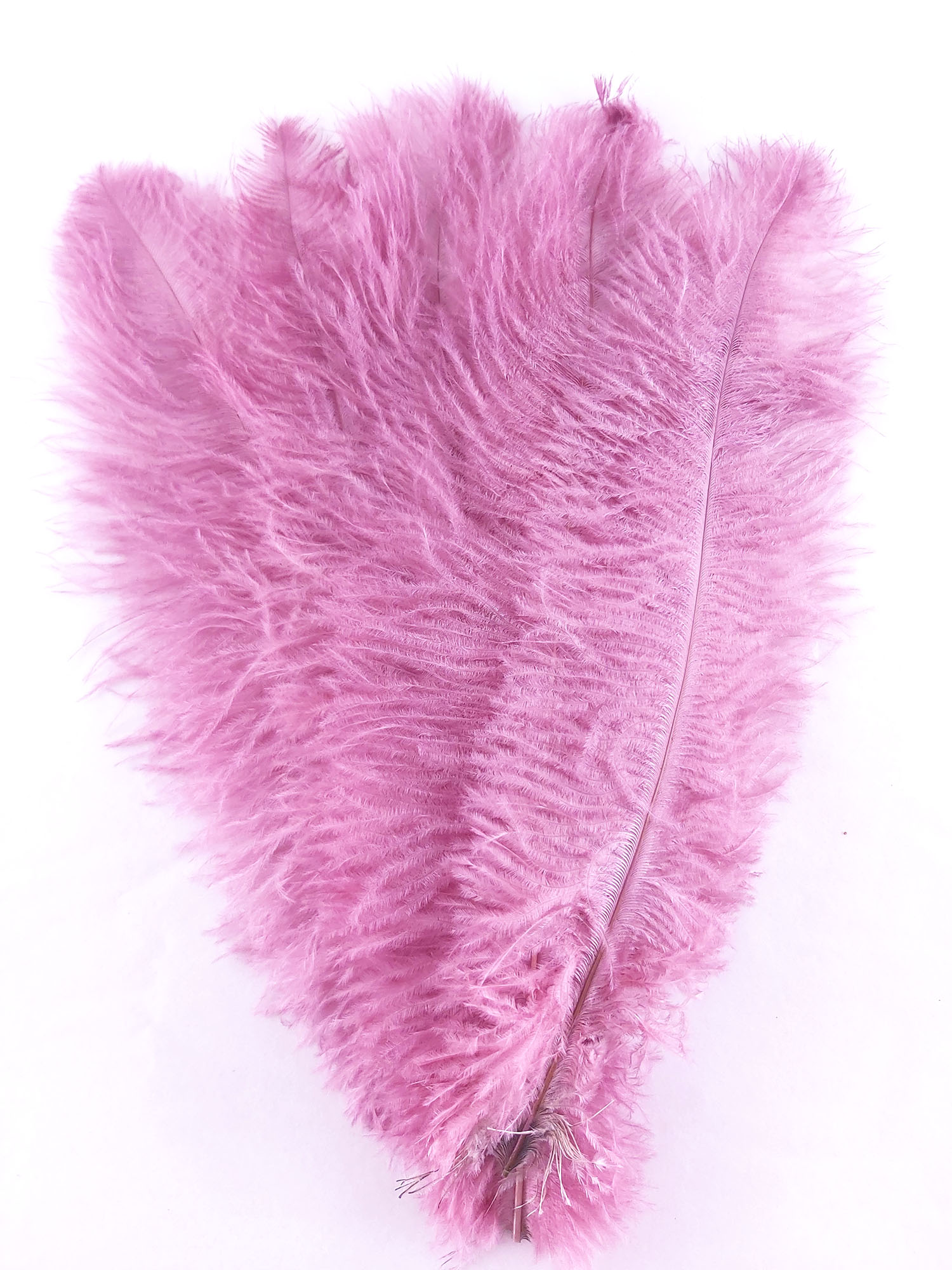 plume autruche souple violine de qualité