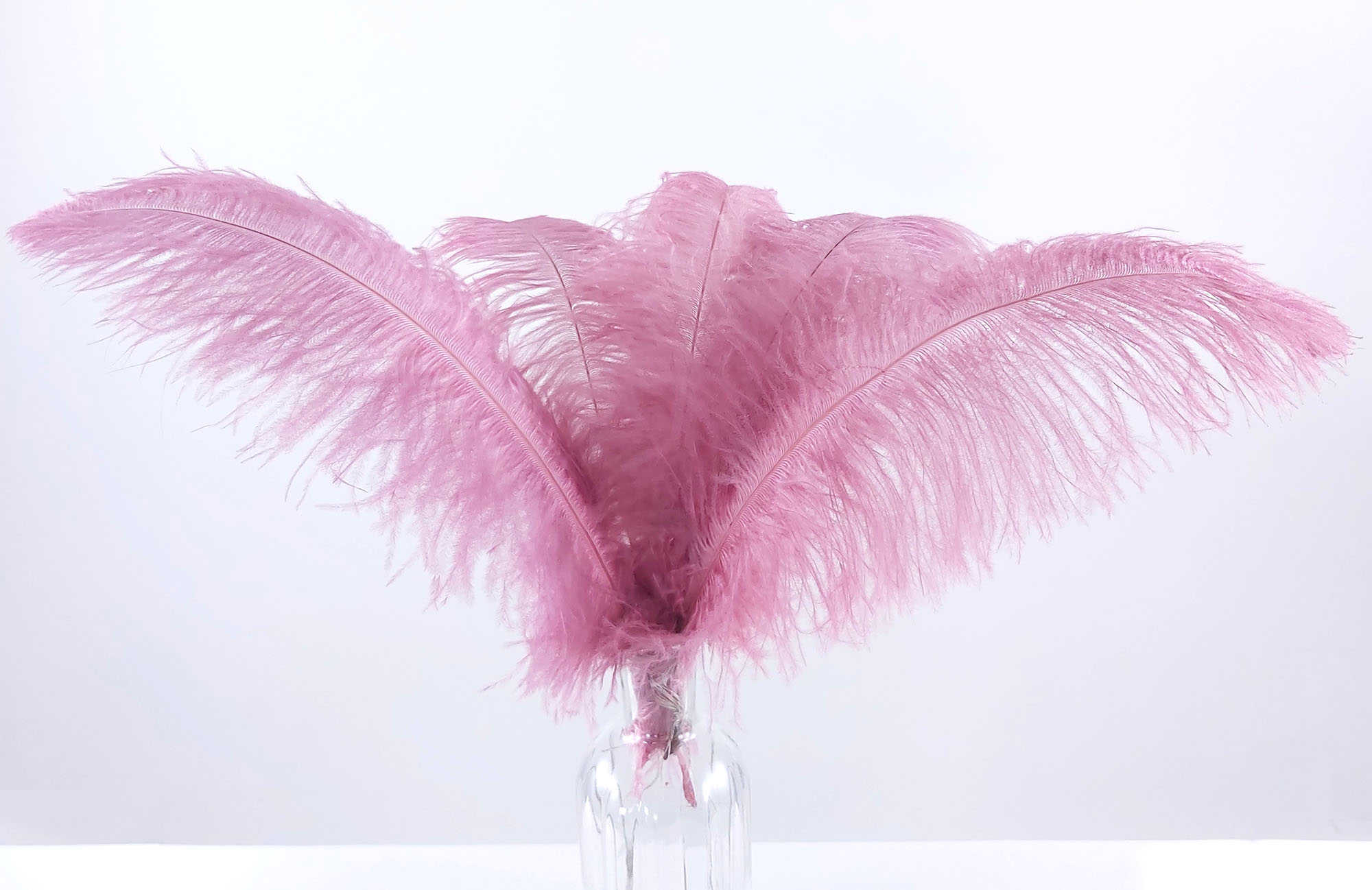 plume autruche souple violine legere