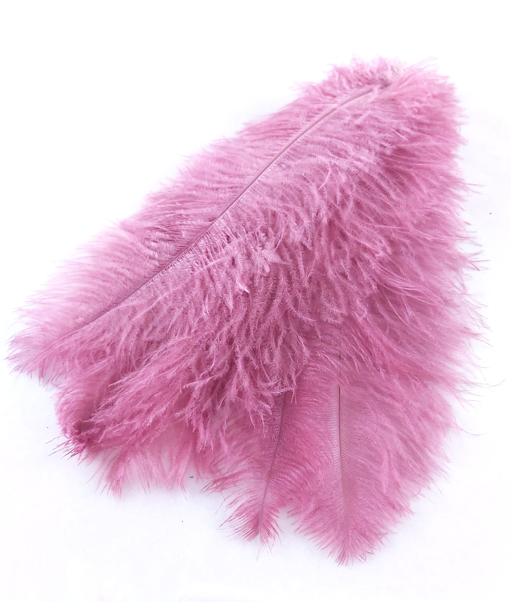 plume autruche souple violine