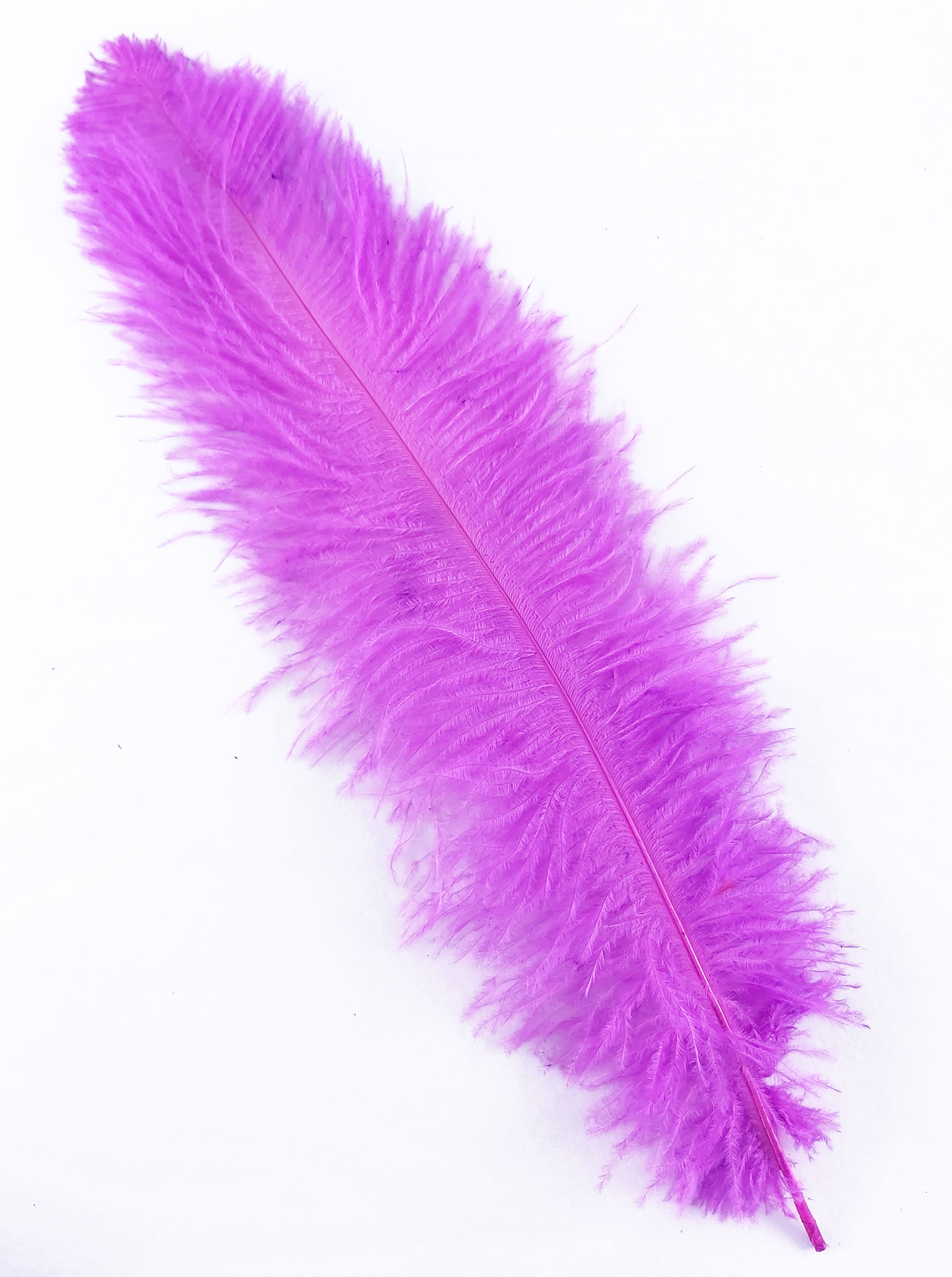 plume autruche souple fushia de qualite