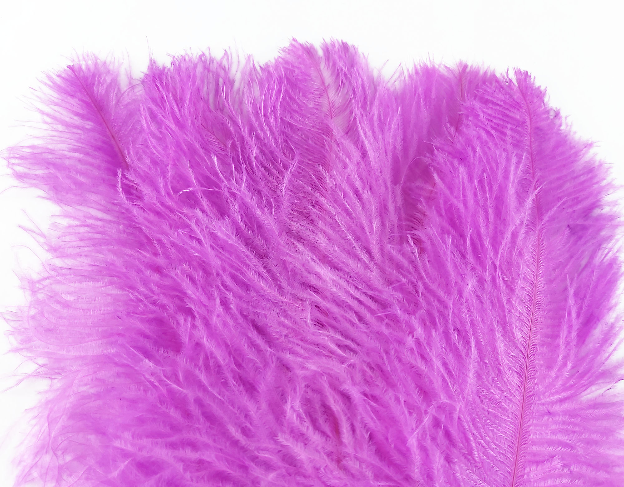 plume autruche souple fushia legere