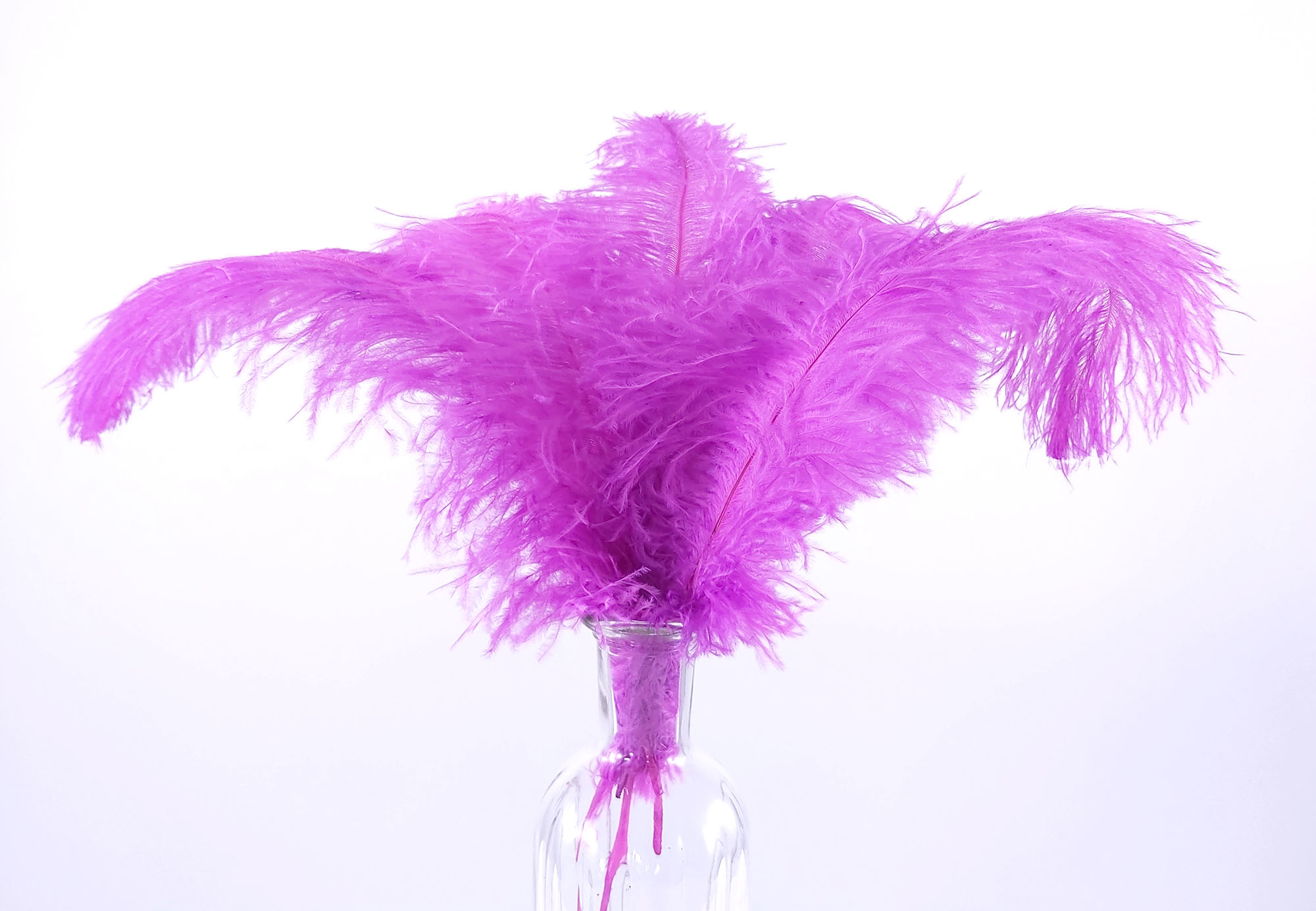 plume autruche souple fushia