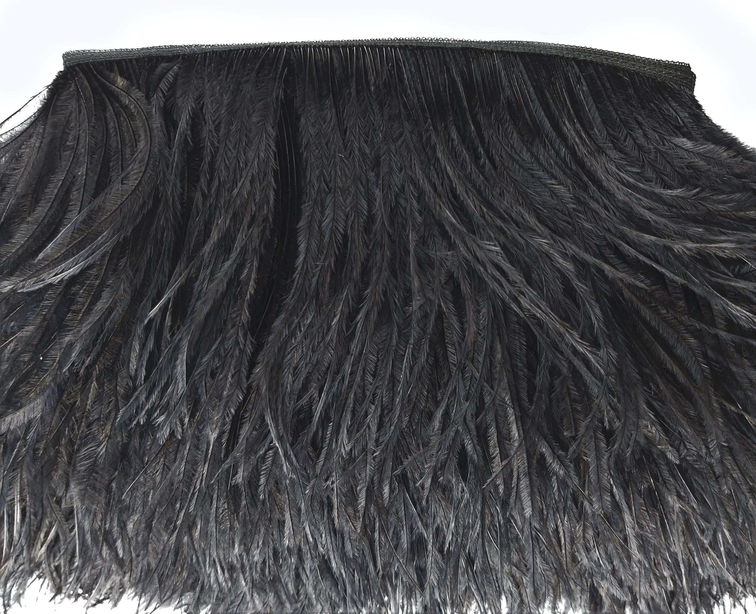 galon autruche noir de qualite plume