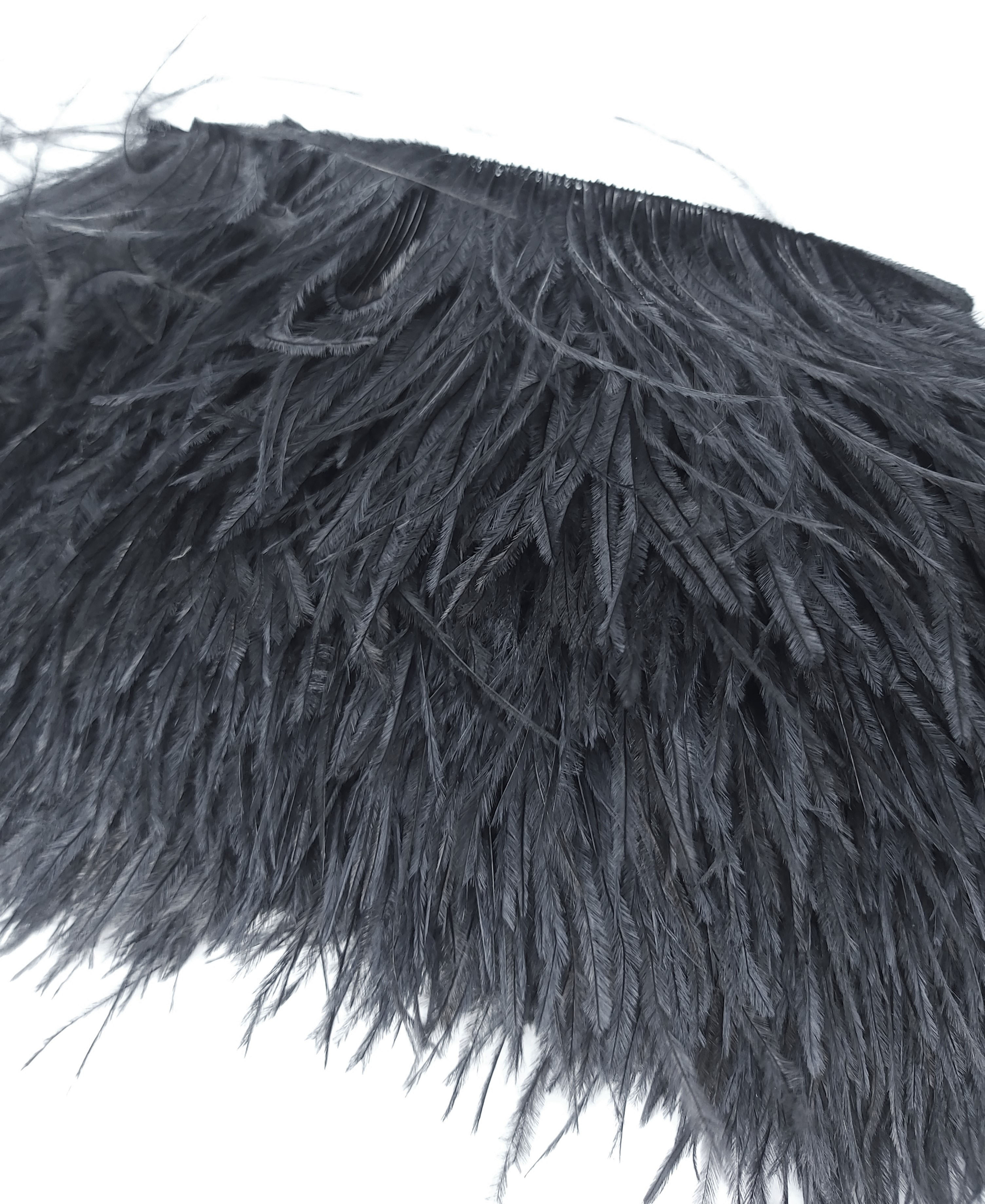 frange autruche noir plume