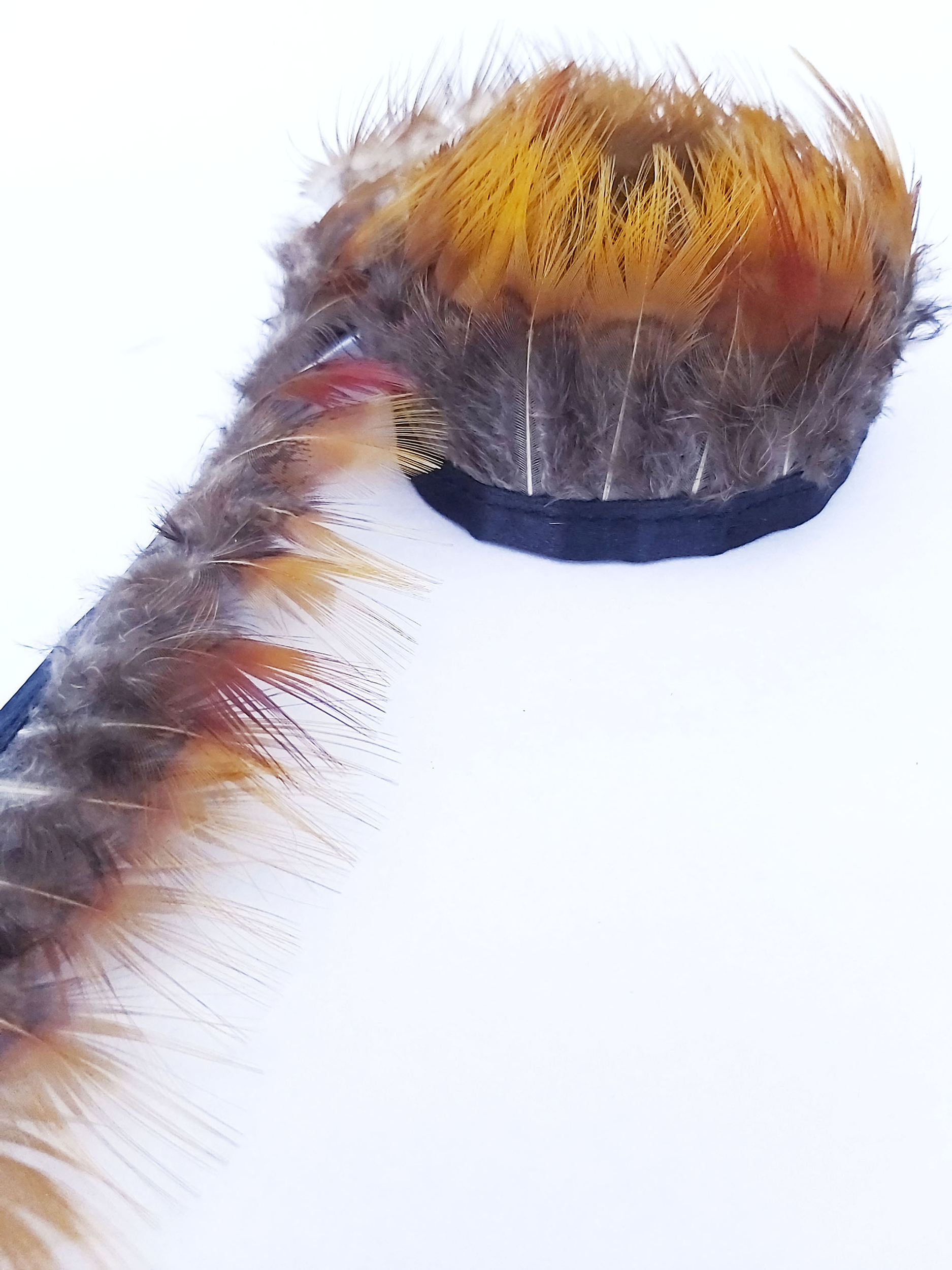 galon plume faisan jaune