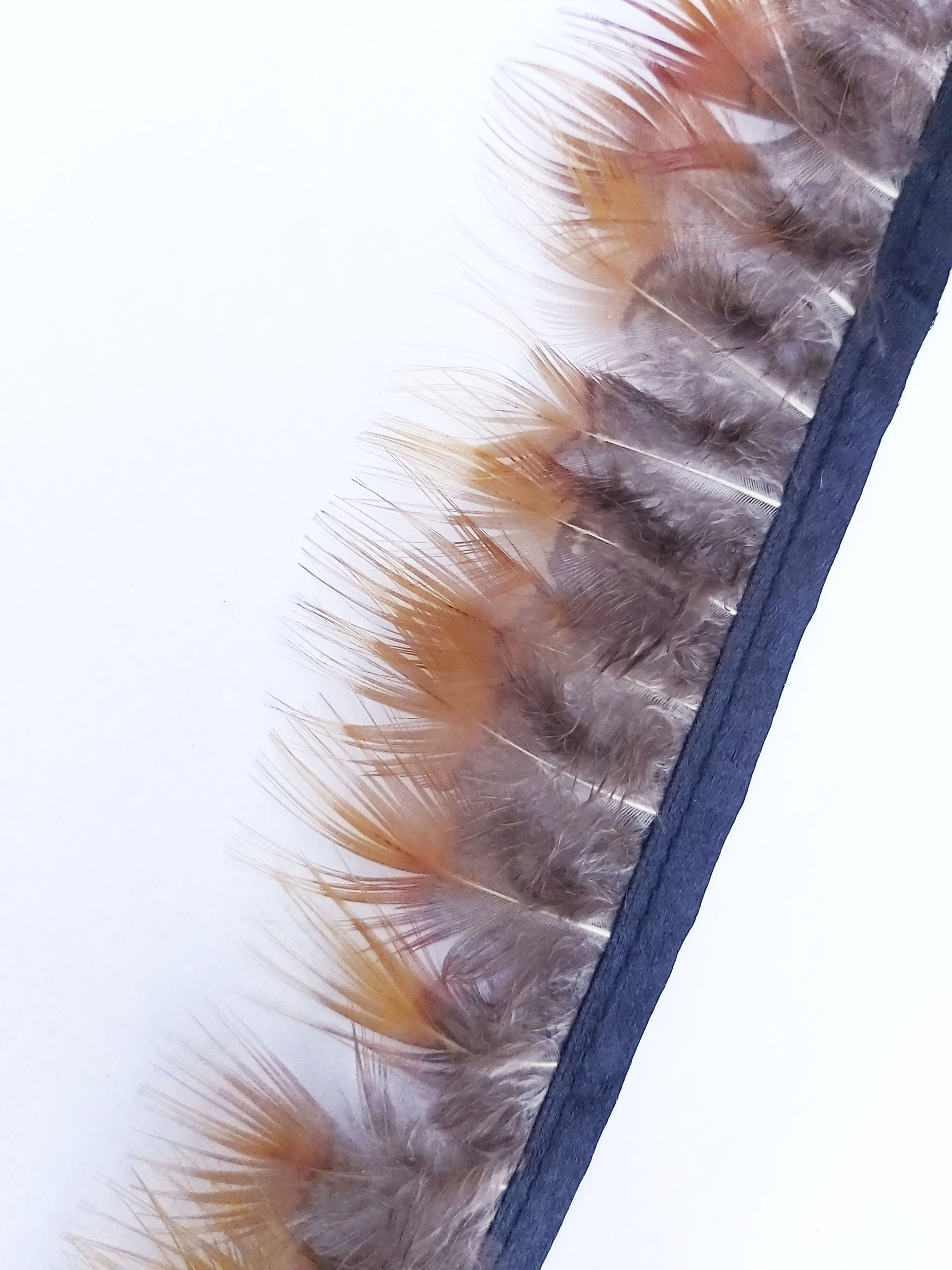 plume frange faisan jaune