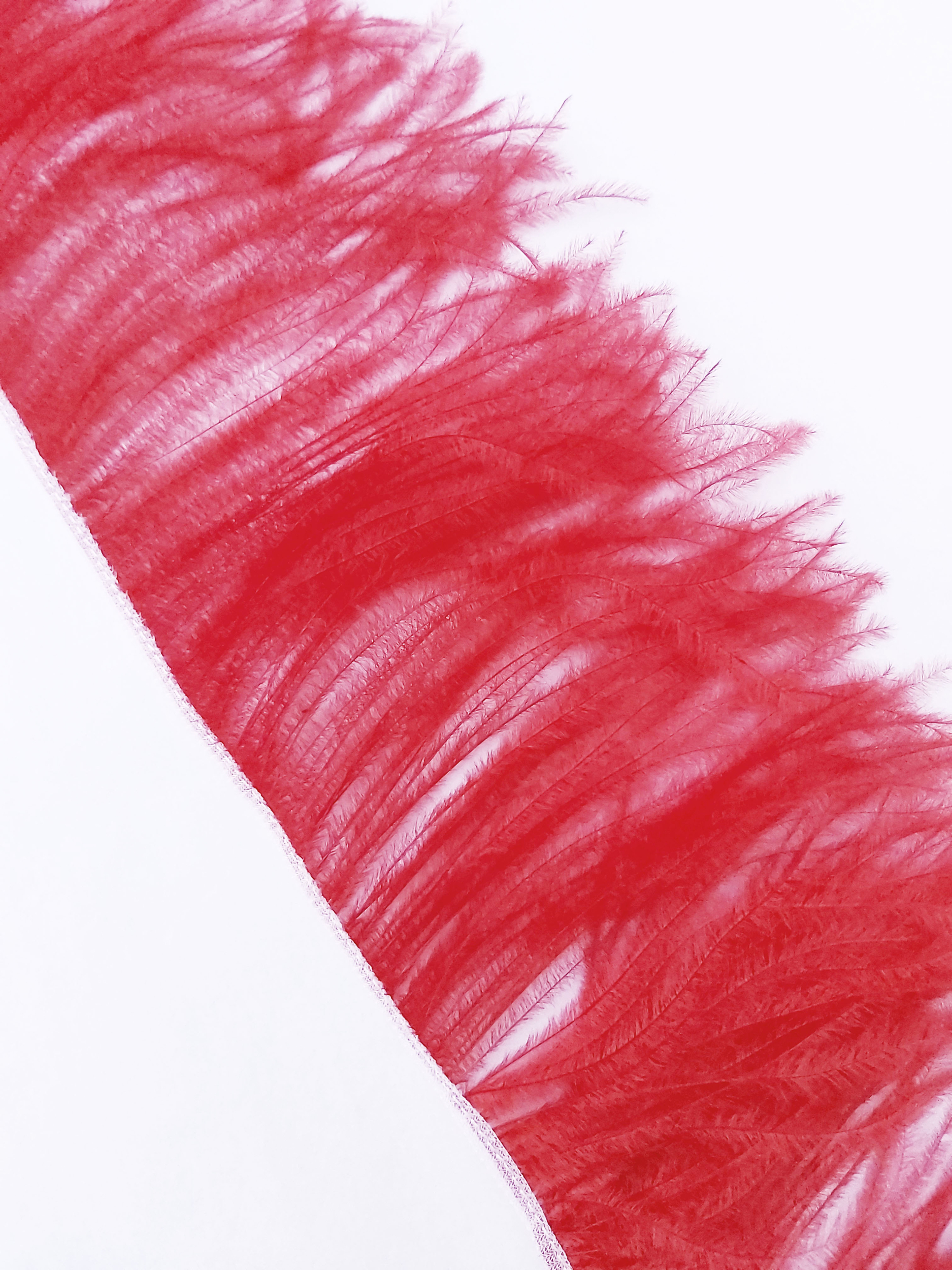 galon autruche rouge de qualite plume