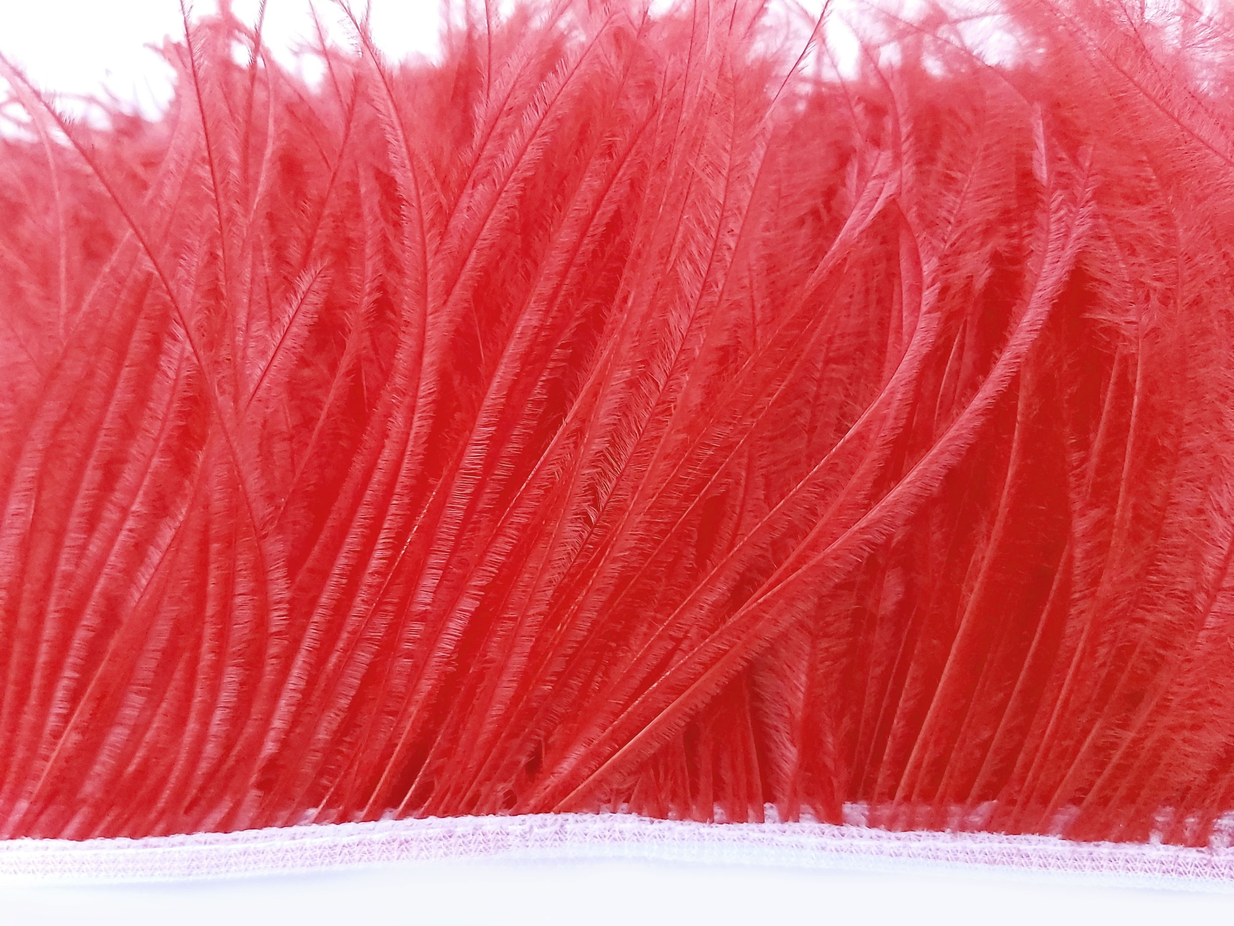 frange autruche rouge plume