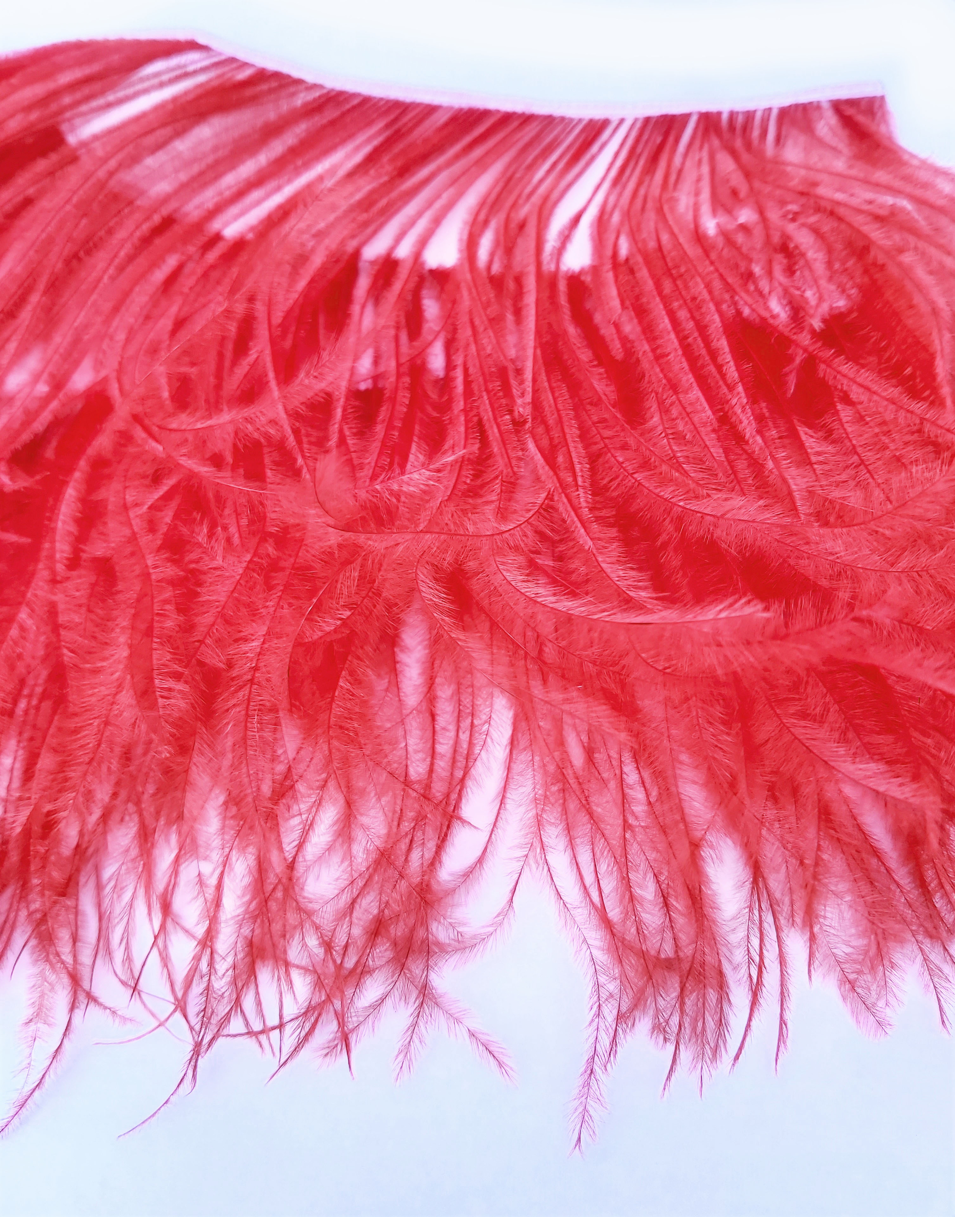 galon autruche rouge plume
