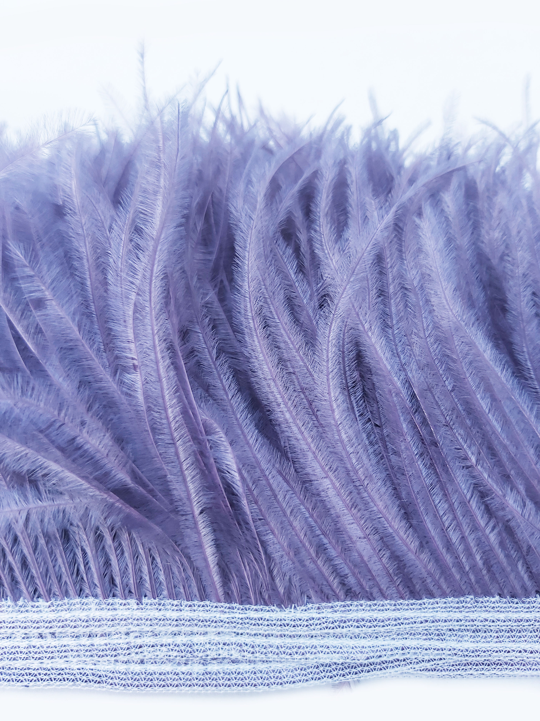 frange autruche mauve plume